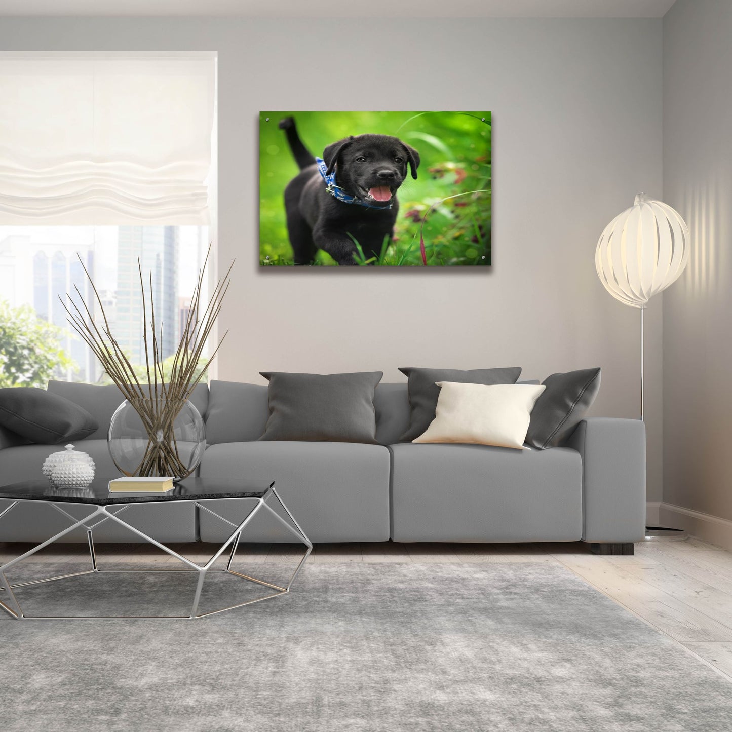 Epic Art 'Black Lab Pup 15' by Jonathan Ross, Acrylic Glass Wall Art,36x24