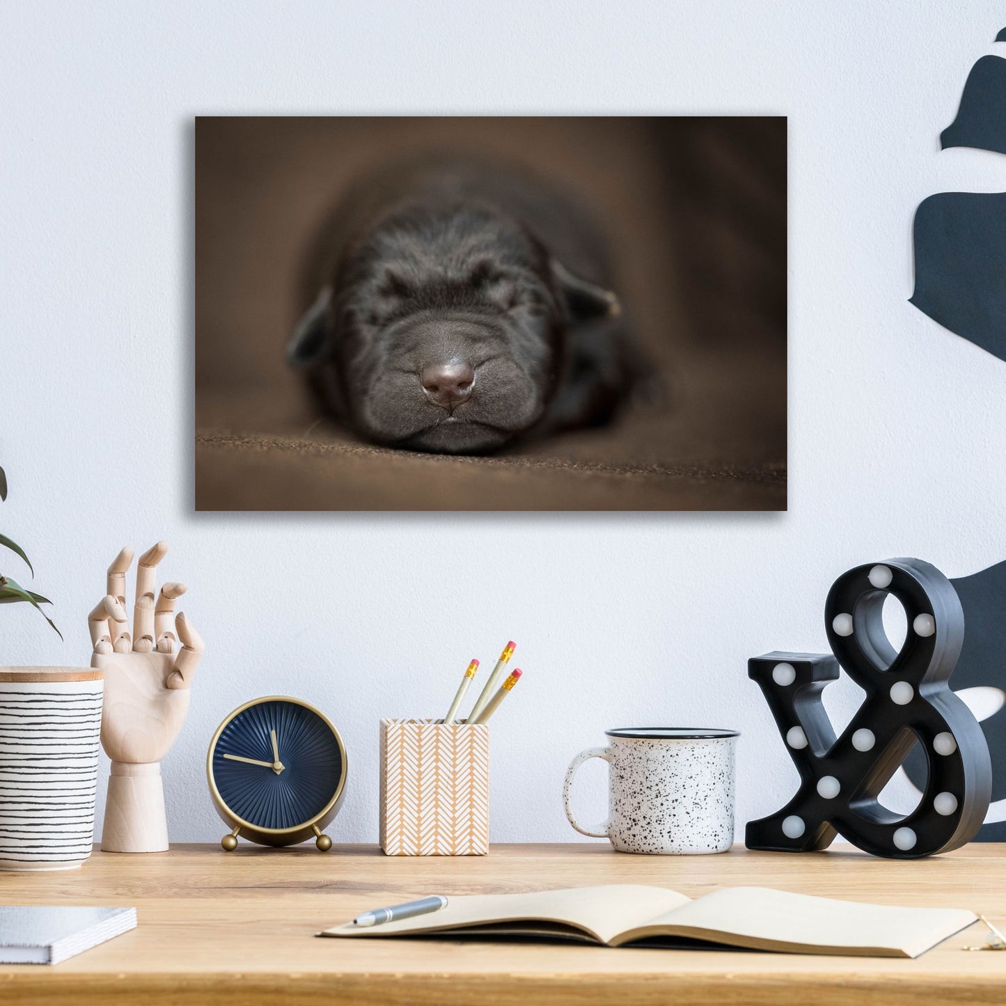 Epic Art 'Black Lab Pup Newborn' by Jonathan Ross, Acrylic Glass Wall Art,16x12