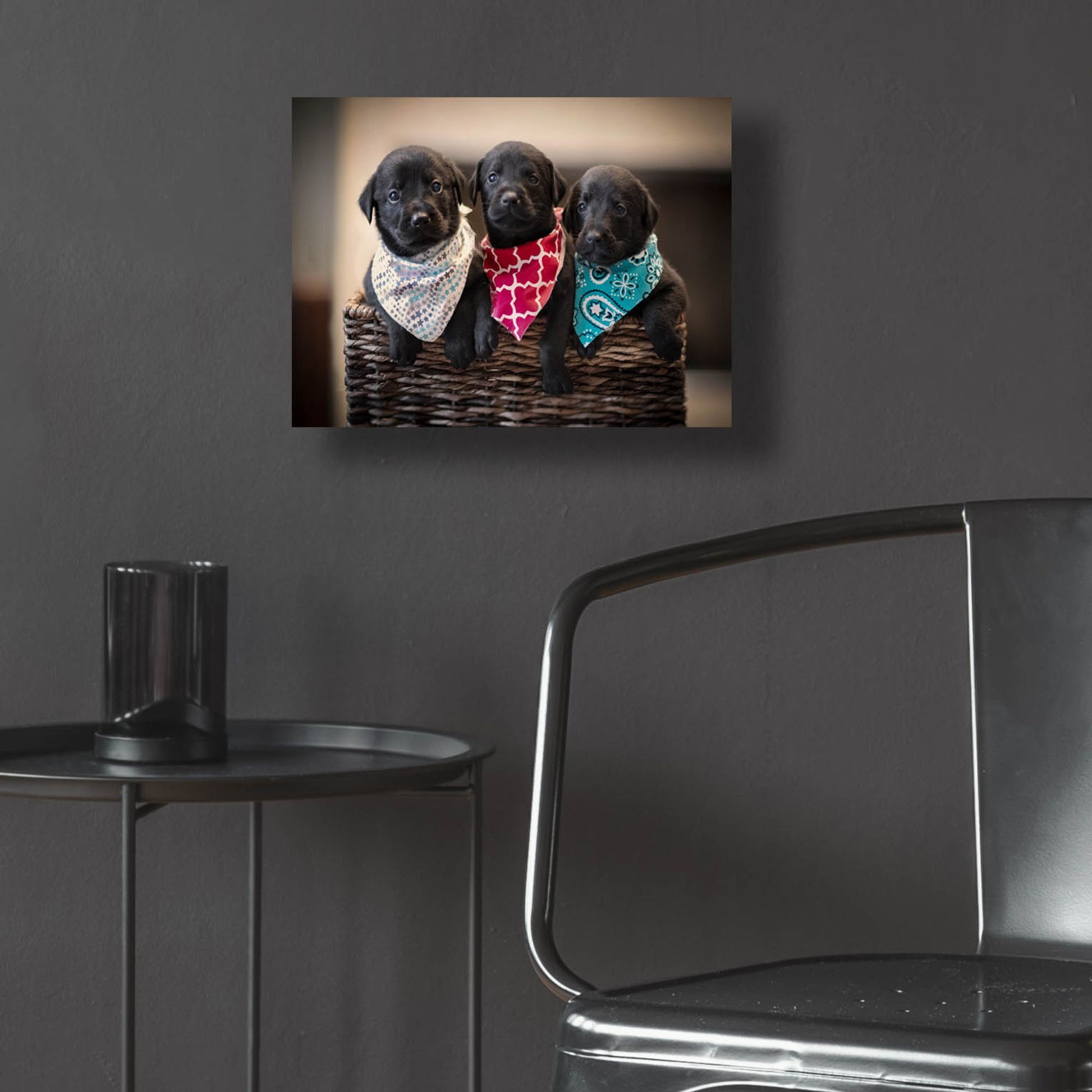 Epic Art 'Black Lab Pups 2' by Jonathan Ross, Acrylic Glass Wall Art,16x12