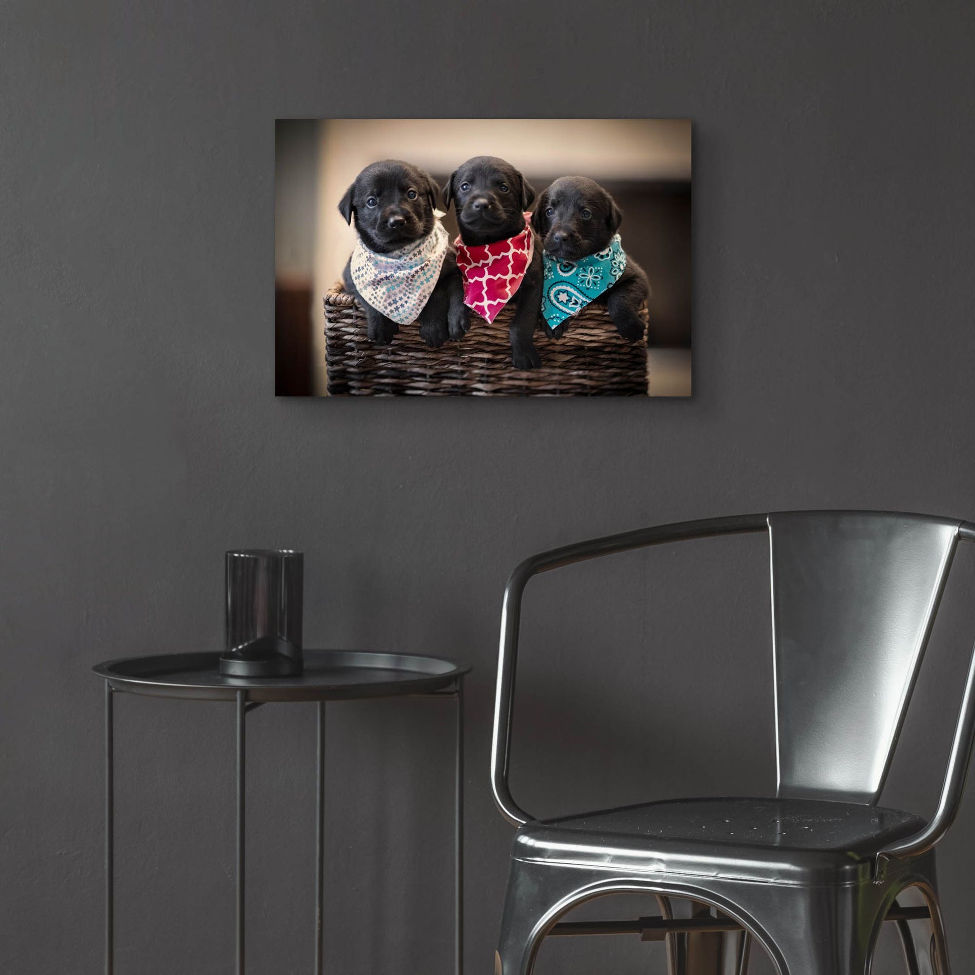 Epic Art 'Black Lab Pups 2' by Jonathan Ross, Acrylic Glass Wall Art,24x16