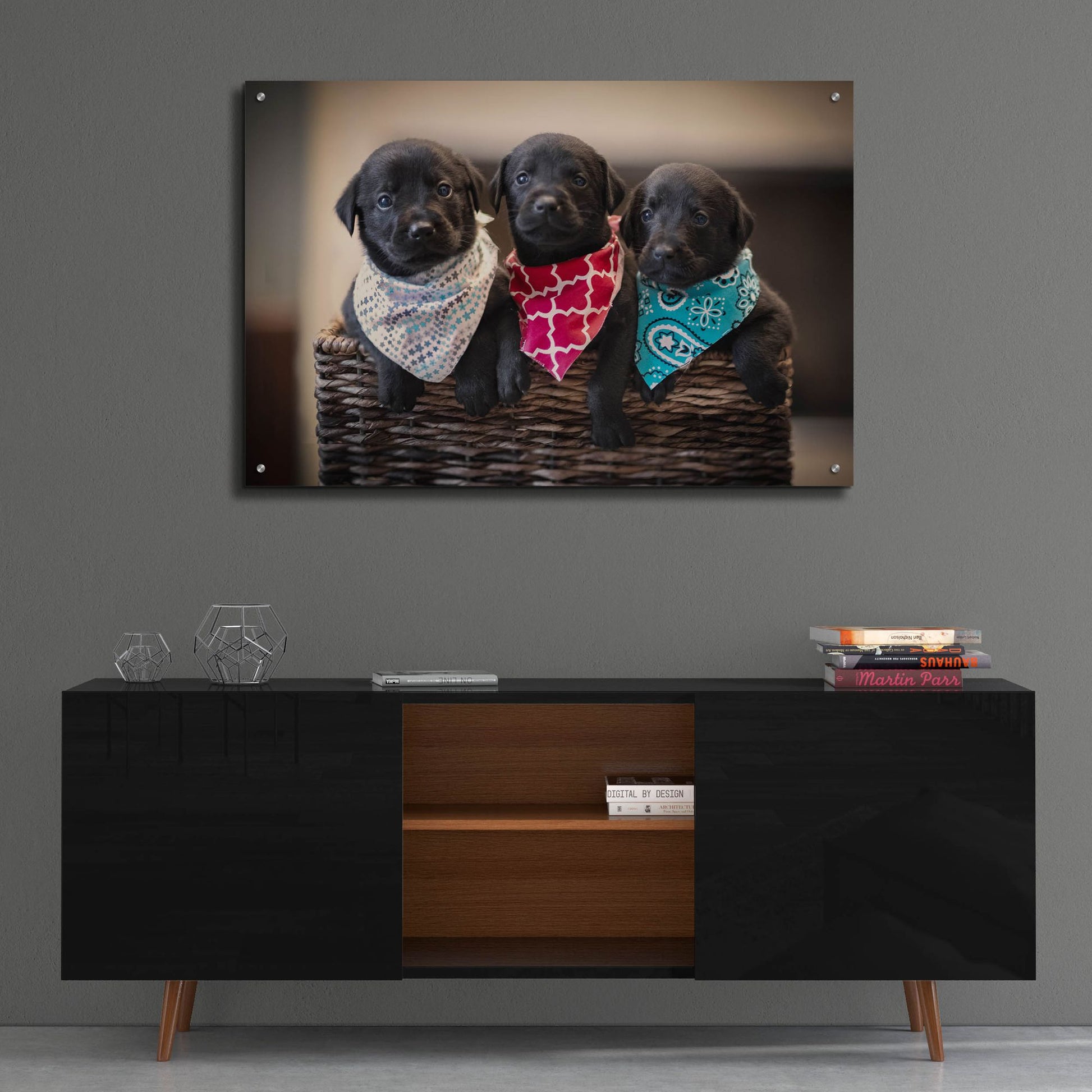 Epic Art 'Black Lab Pups 2' by Jonathan Ross, Acrylic Glass Wall Art,36x24