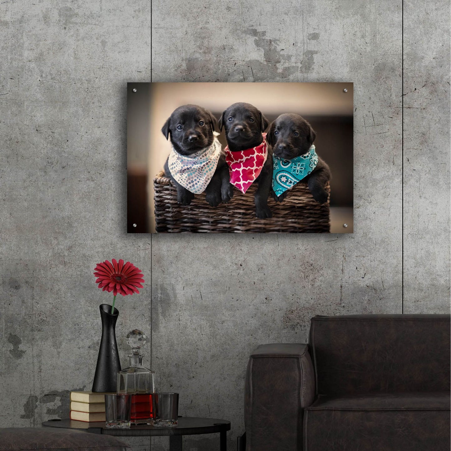 Epic Art 'Black Lab Pups 2' by Jonathan Ross, Acrylic Glass Wall Art,36x24