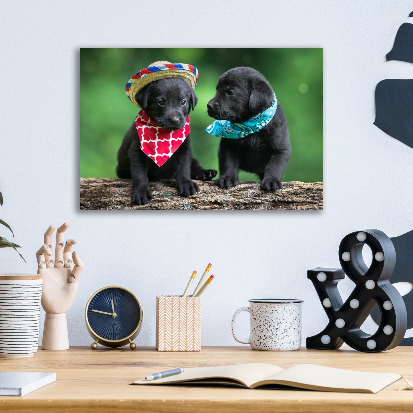 Epic Art 'Black Lab Pups 5' by Jonathan Ross, Acrylic Glass Wall Art,16x12