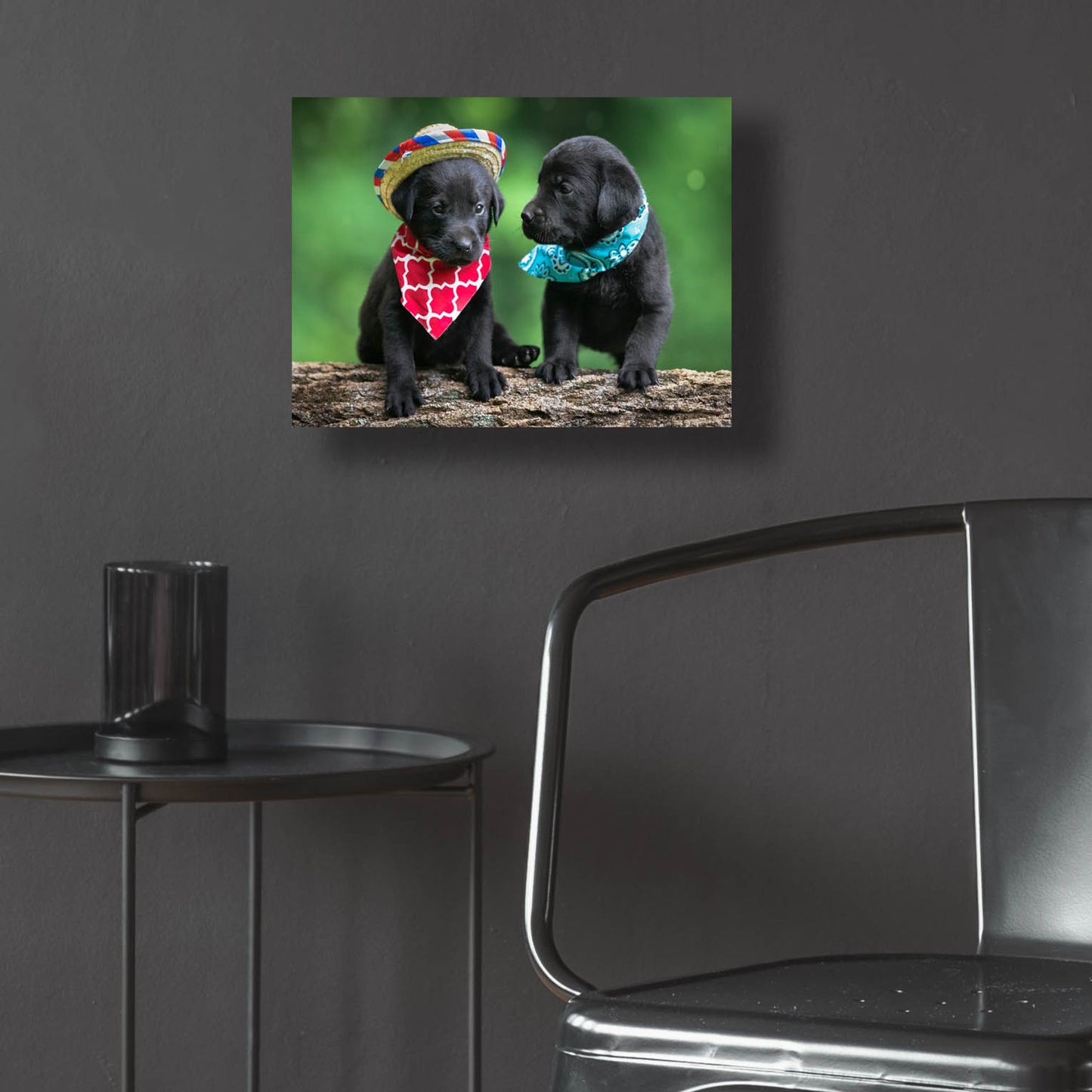 Epic Art 'Black Lab Pups 5' by Jonathan Ross, Acrylic Glass Wall Art,16x12