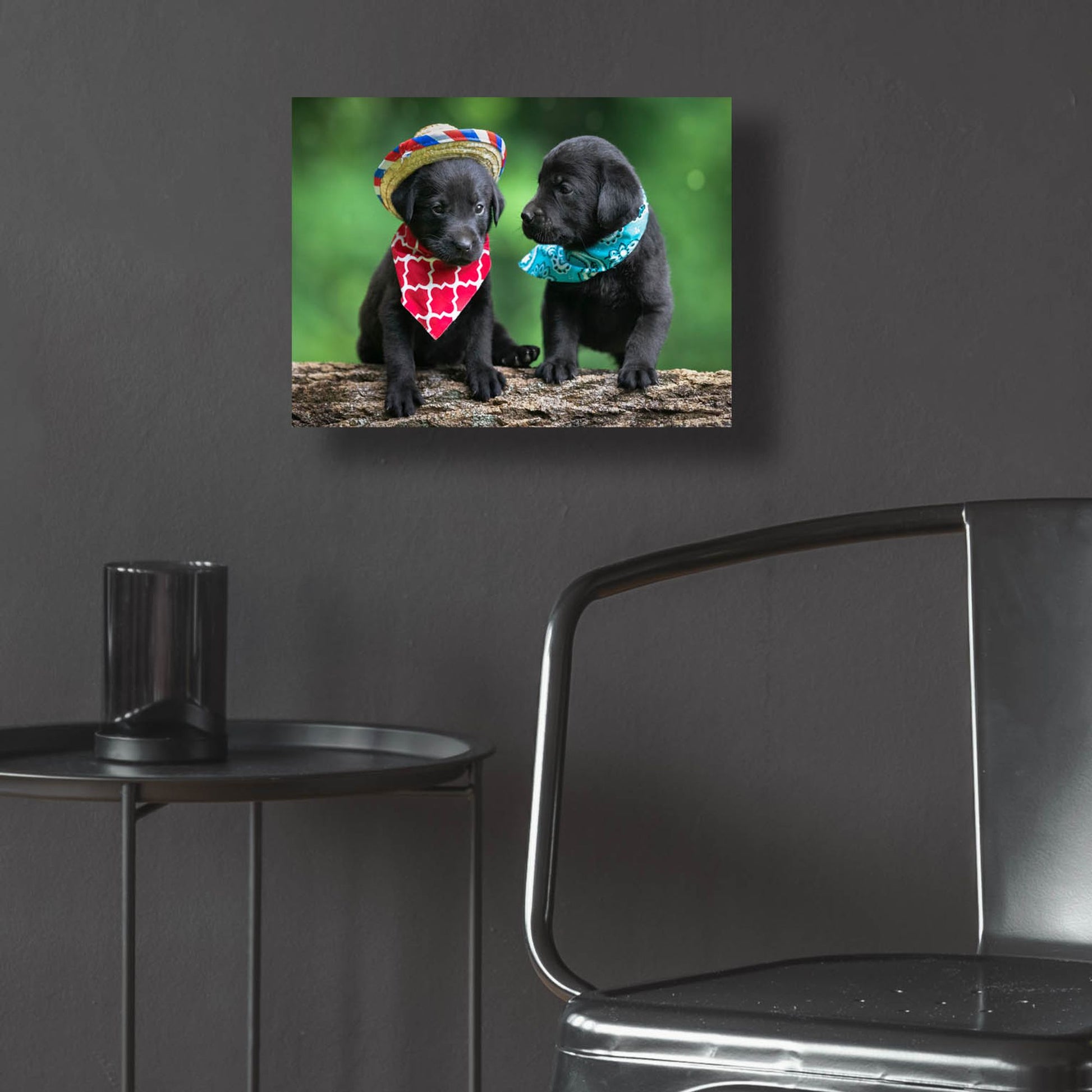 Epic Art 'Black Lab Pups 5' by Jonathan Ross, Acrylic Glass Wall Art,16x12