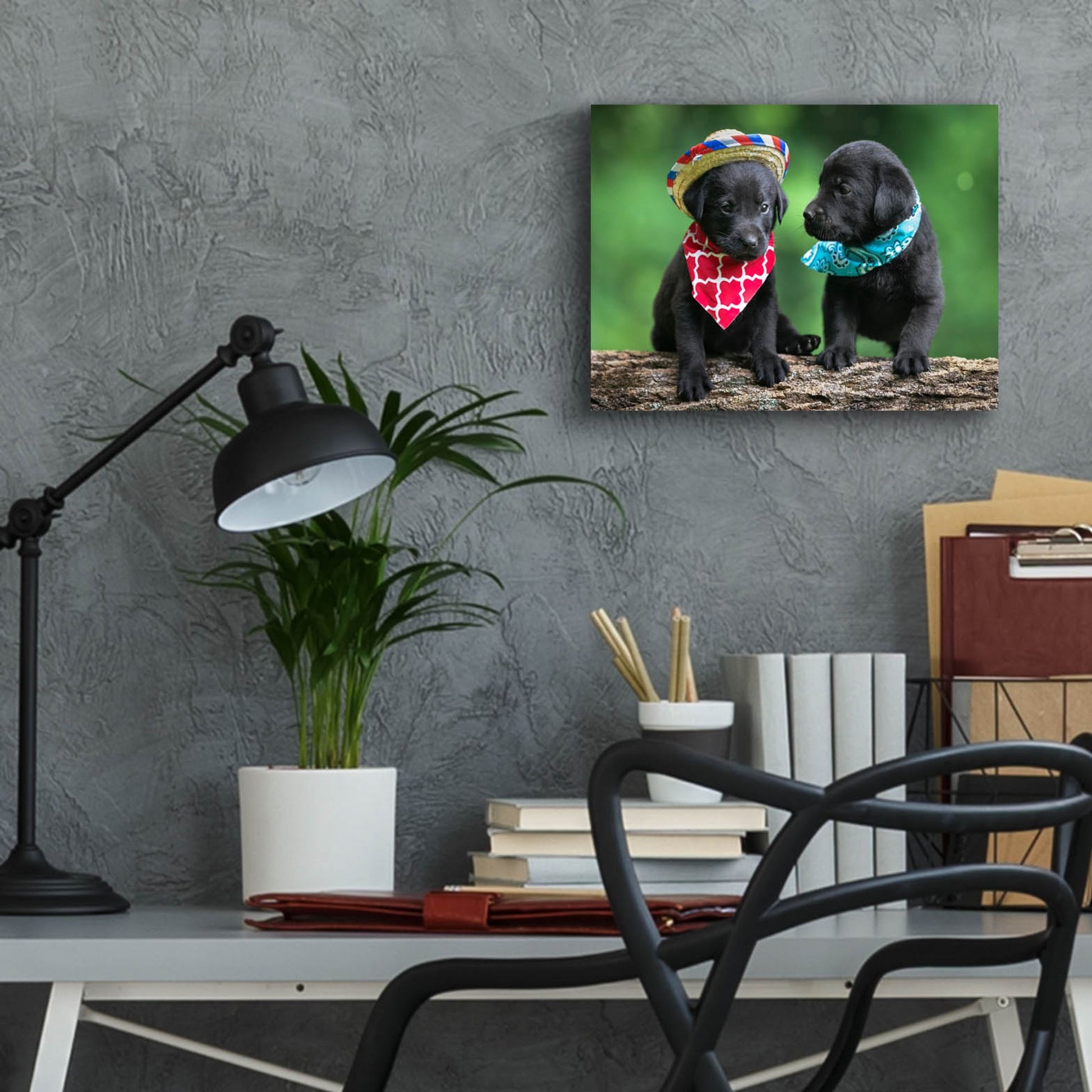 Epic Art 'Black Lab Pups 5' by Jonathan Ross, Acrylic Glass Wall Art,16x12