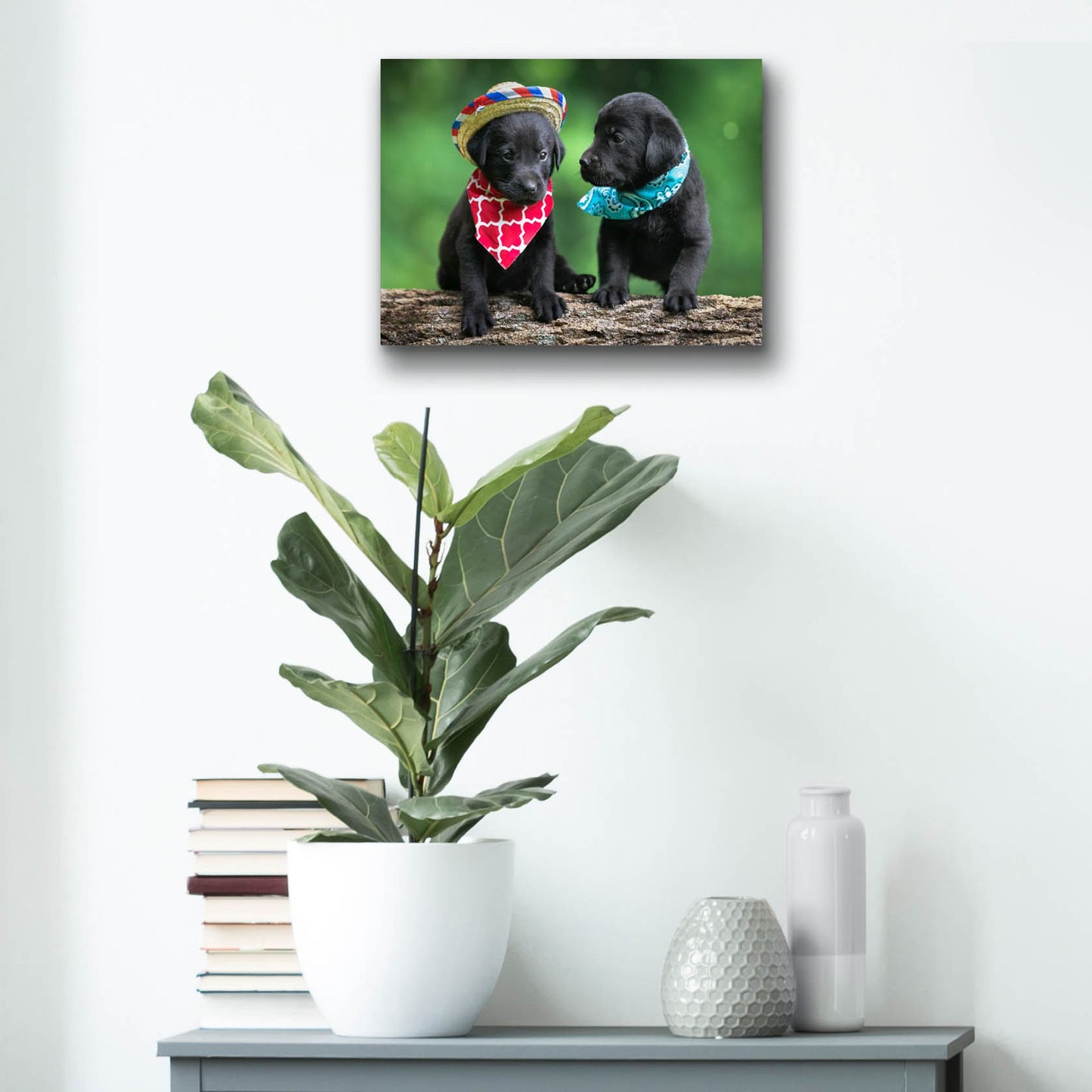 Epic Art 'Black Lab Pups 5' by Jonathan Ross, Acrylic Glass Wall Art,16x12