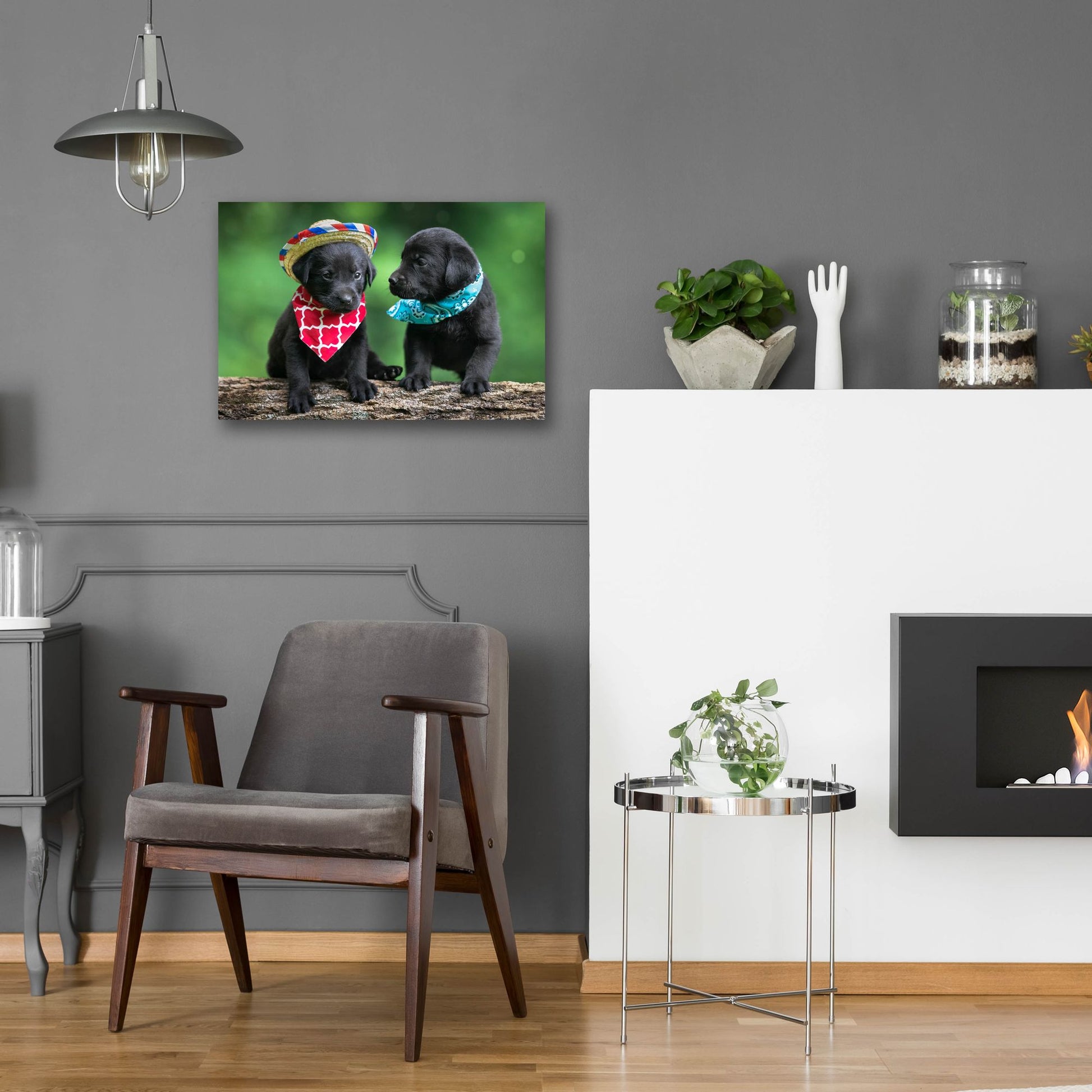 Epic Art 'Black Lab Pups 5' by Jonathan Ross, Acrylic Glass Wall Art,24x16