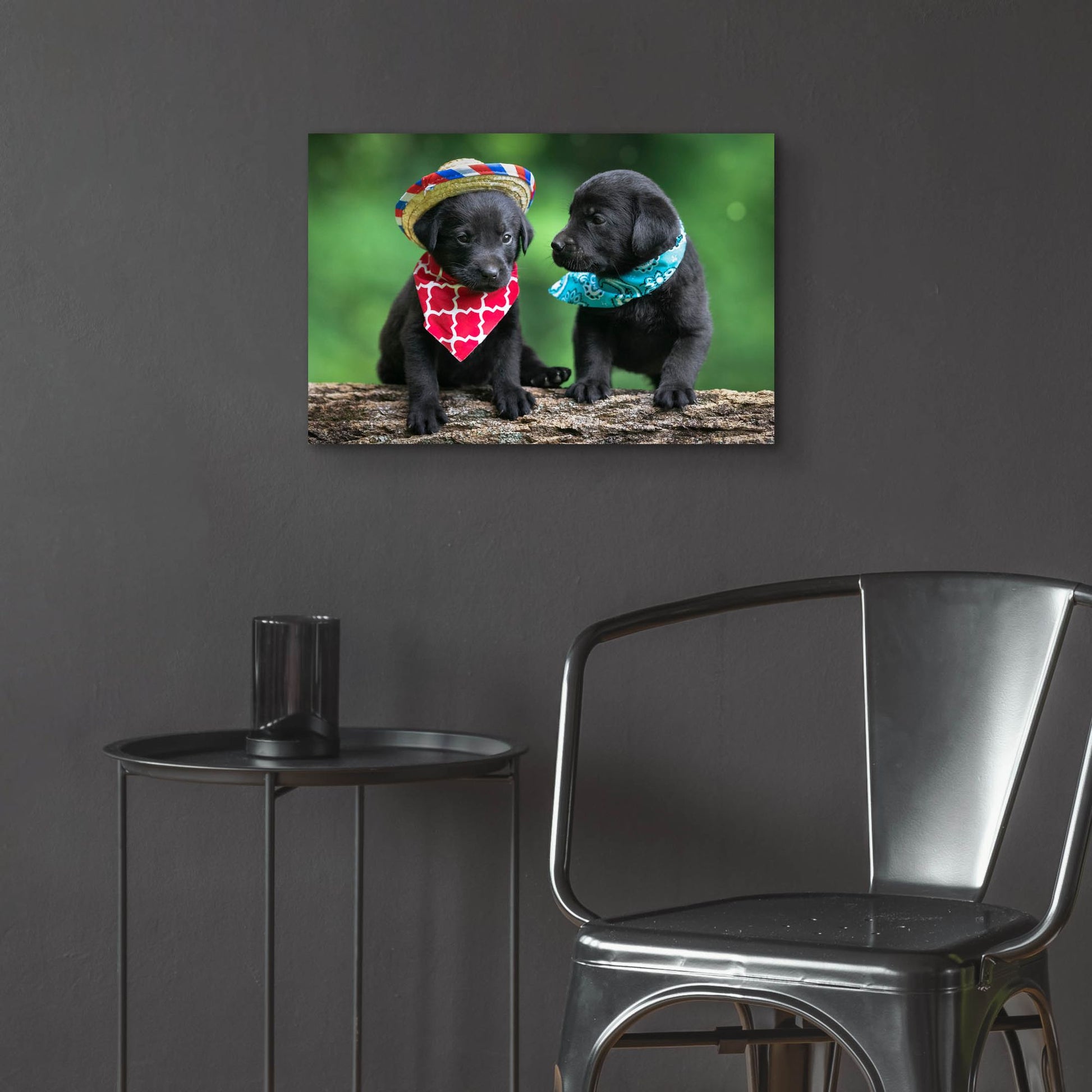 Epic Art 'Black Lab Pups 5' by Jonathan Ross, Acrylic Glass Wall Art,24x16