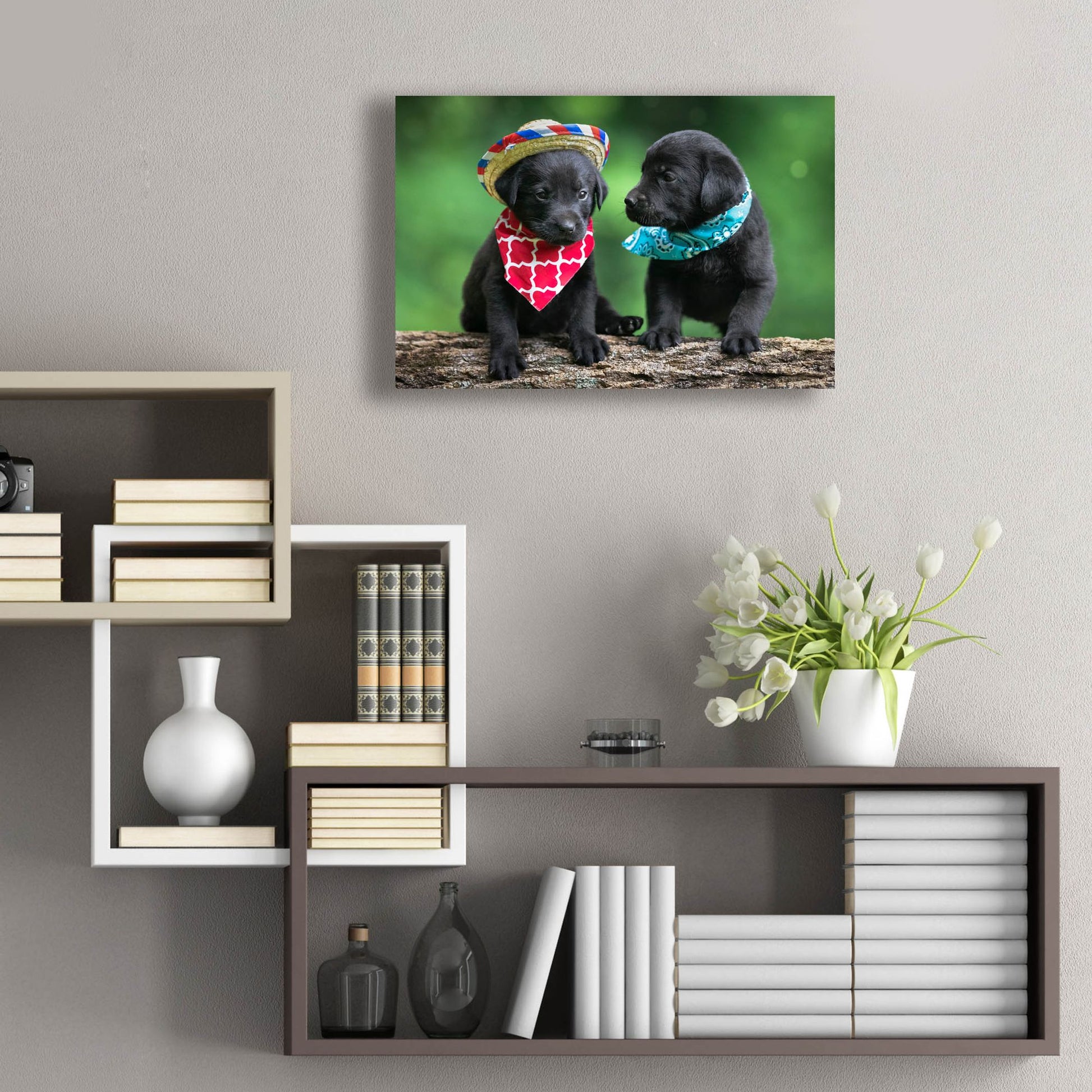 Epic Art 'Black Lab Pups 5' by Jonathan Ross, Acrylic Glass Wall Art,24x16