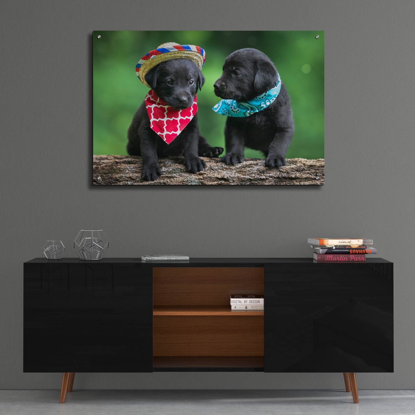 Epic Art 'Black Lab Pups 5' by Jonathan Ross, Acrylic Glass Wall Art,36x24