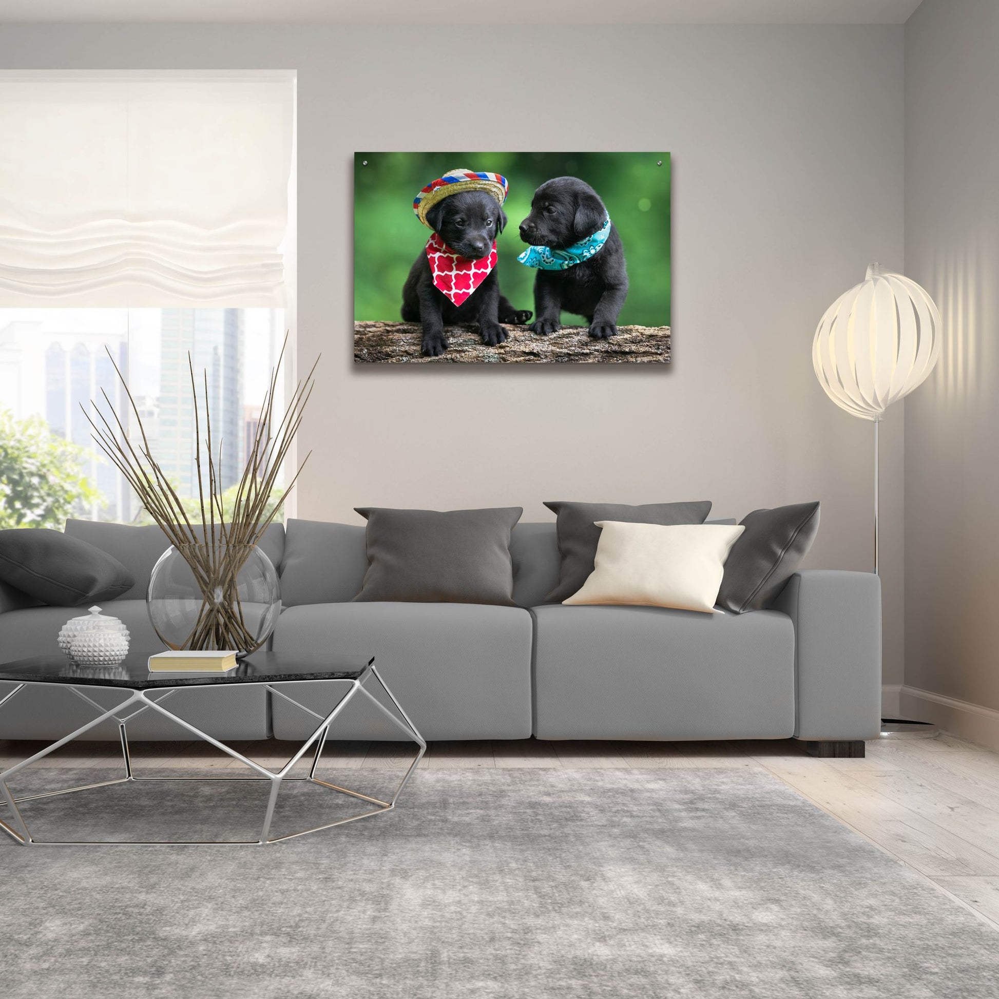 Epic Art 'Black Lab Pups 5' by Jonathan Ross, Acrylic Glass Wall Art,36x24