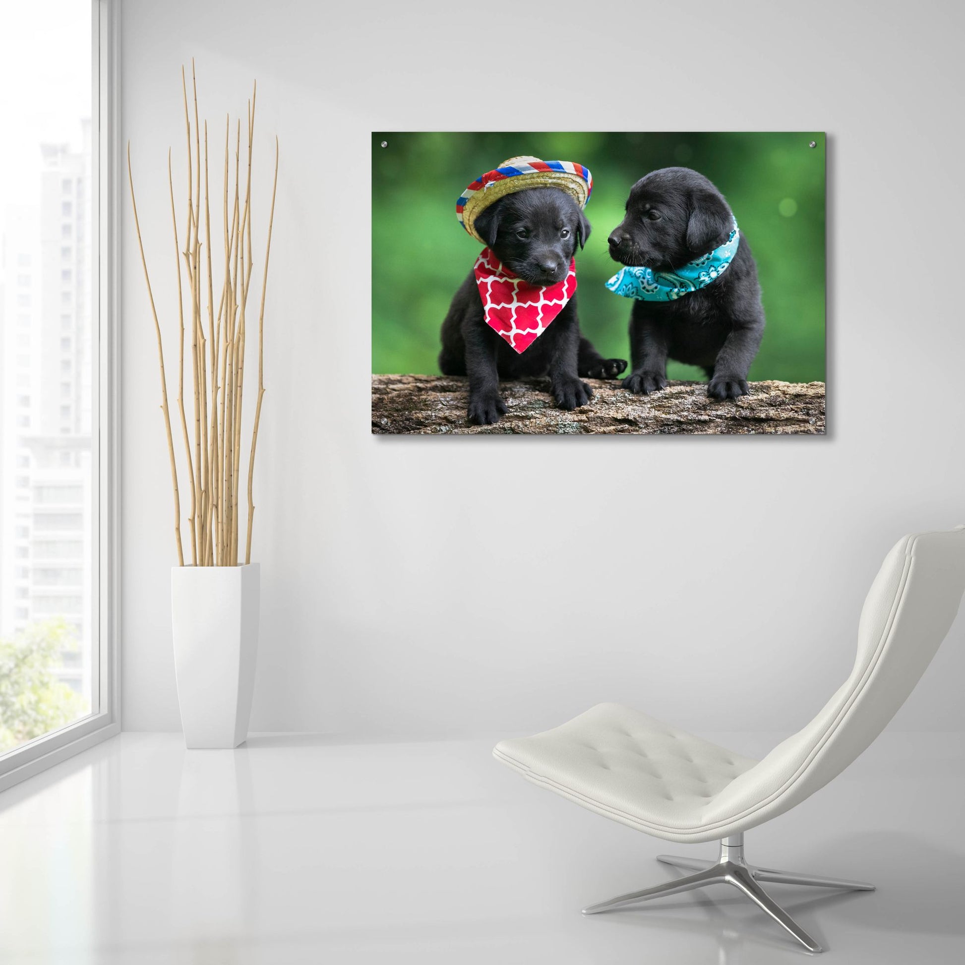 Epic Art 'Black Lab Pups 5' by Jonathan Ross, Acrylic Glass Wall Art,36x24