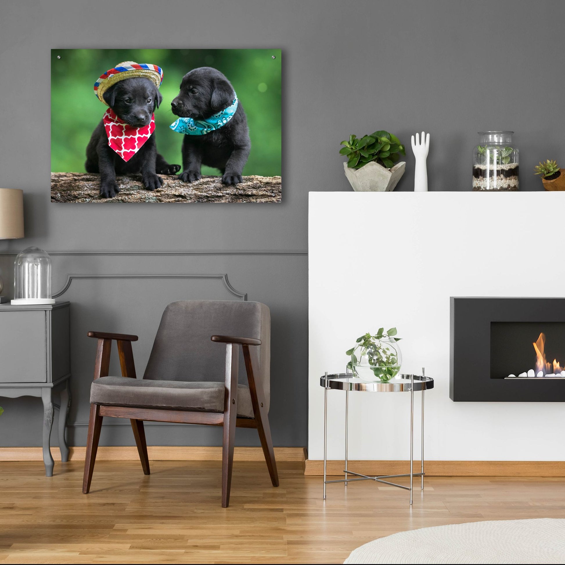 Epic Art 'Black Lab Pups 5' by Jonathan Ross, Acrylic Glass Wall Art,36x24