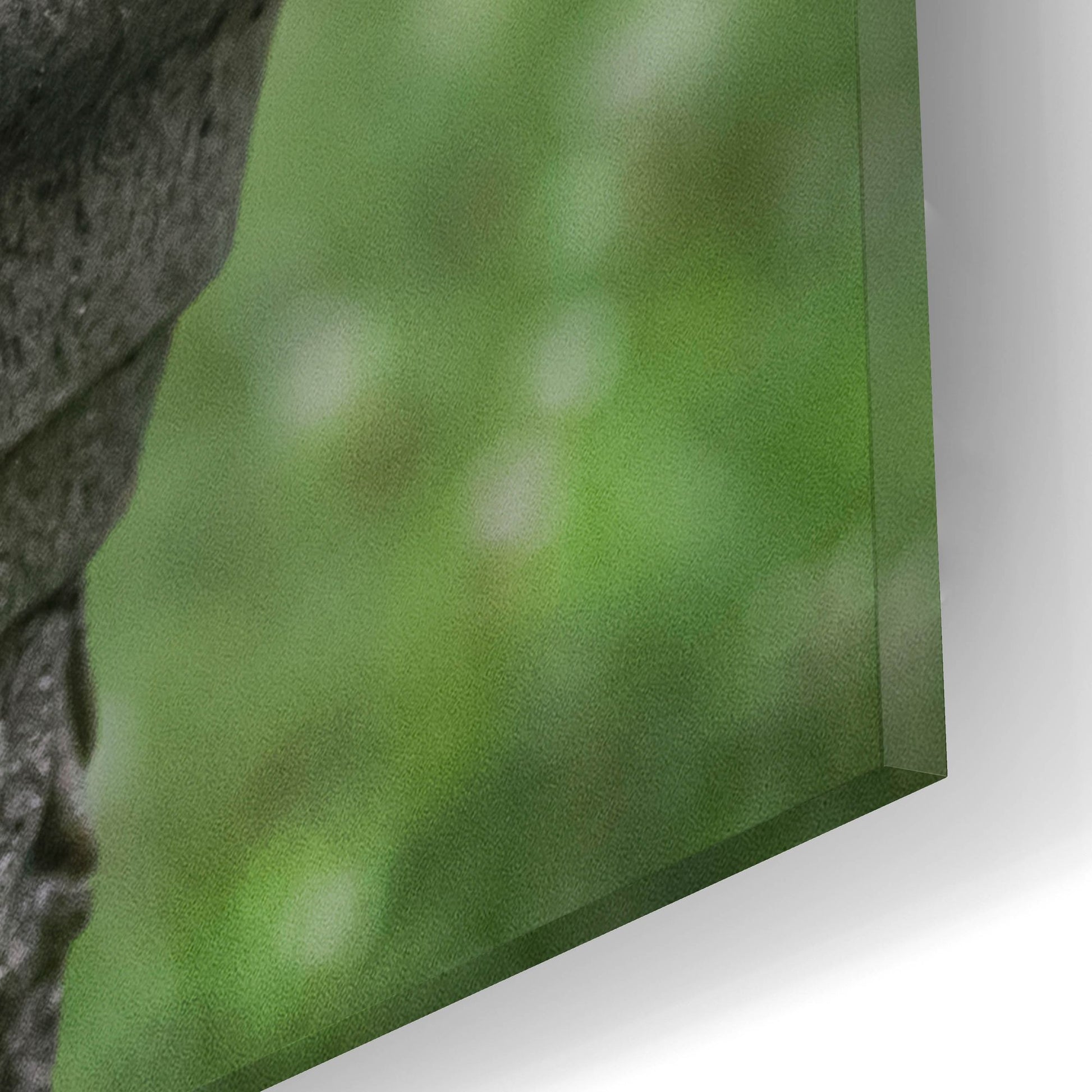 Epic Art 'Black Lab Pups 7' by Jonathan Ross, Acrylic Glass Wall Art,16x12