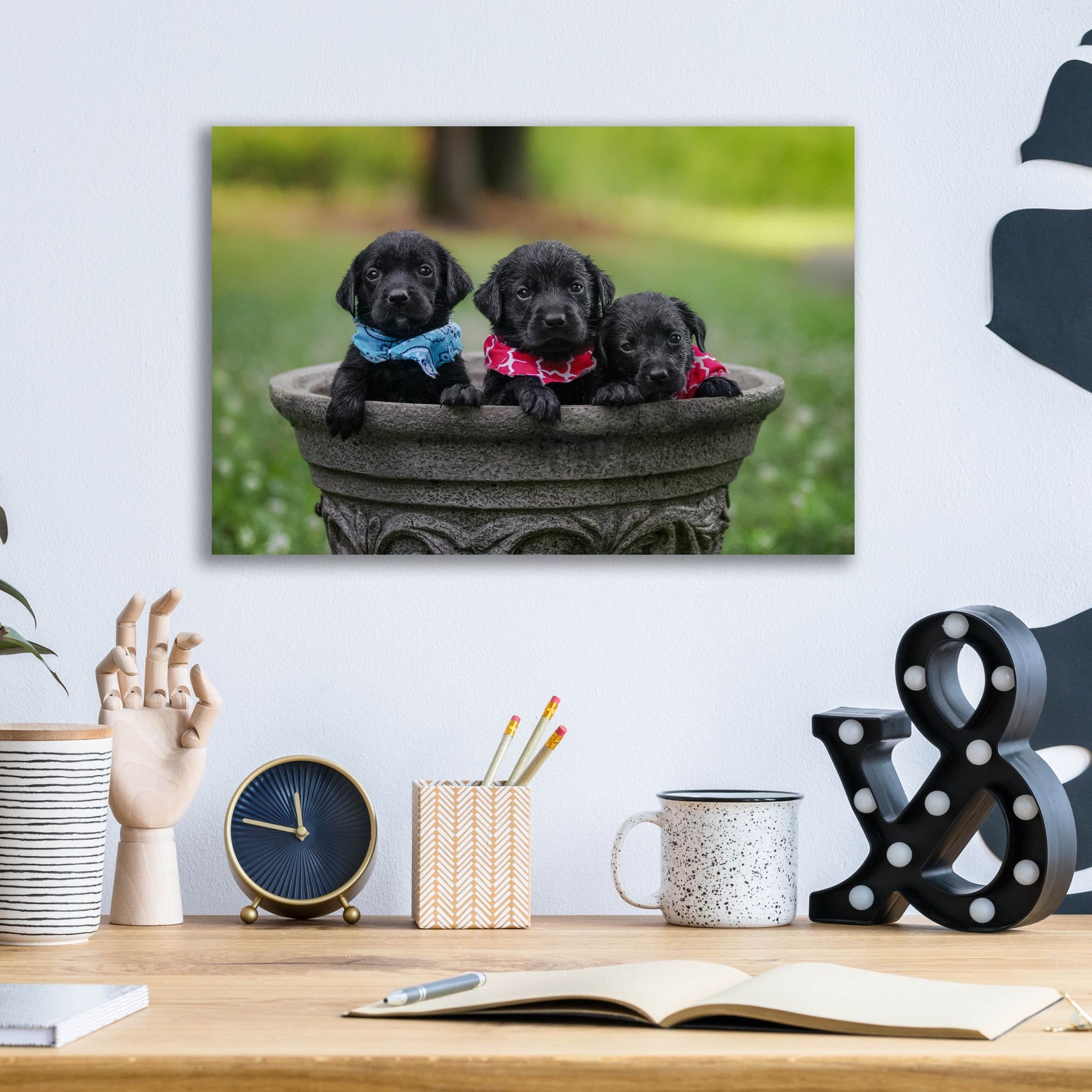 Epic Art 'Black Lab Pups 7' by Jonathan Ross, Acrylic Glass Wall Art,16x12