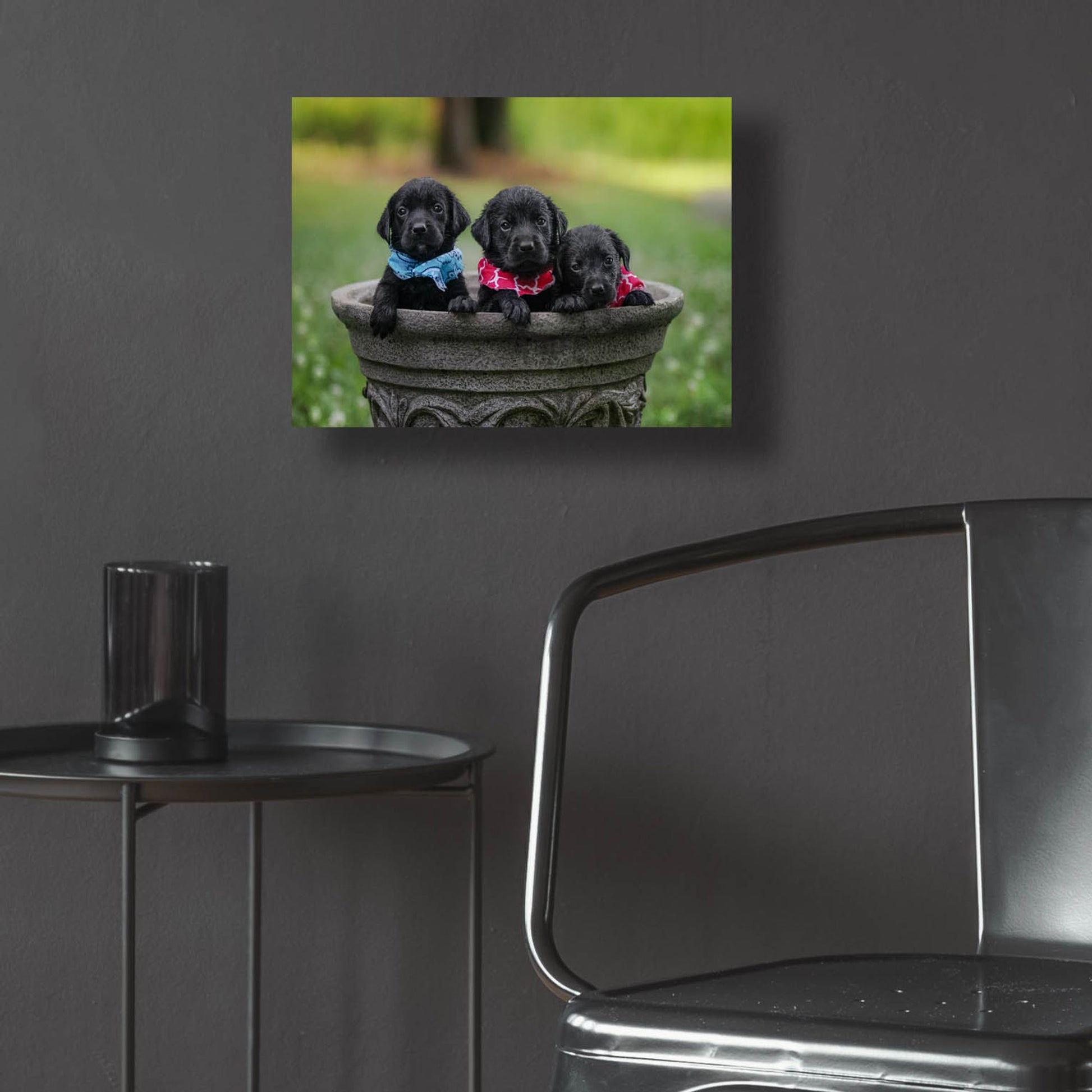 Epic Art 'Black Lab Pups 7' by Jonathan Ross, Acrylic Glass Wall Art,16x12