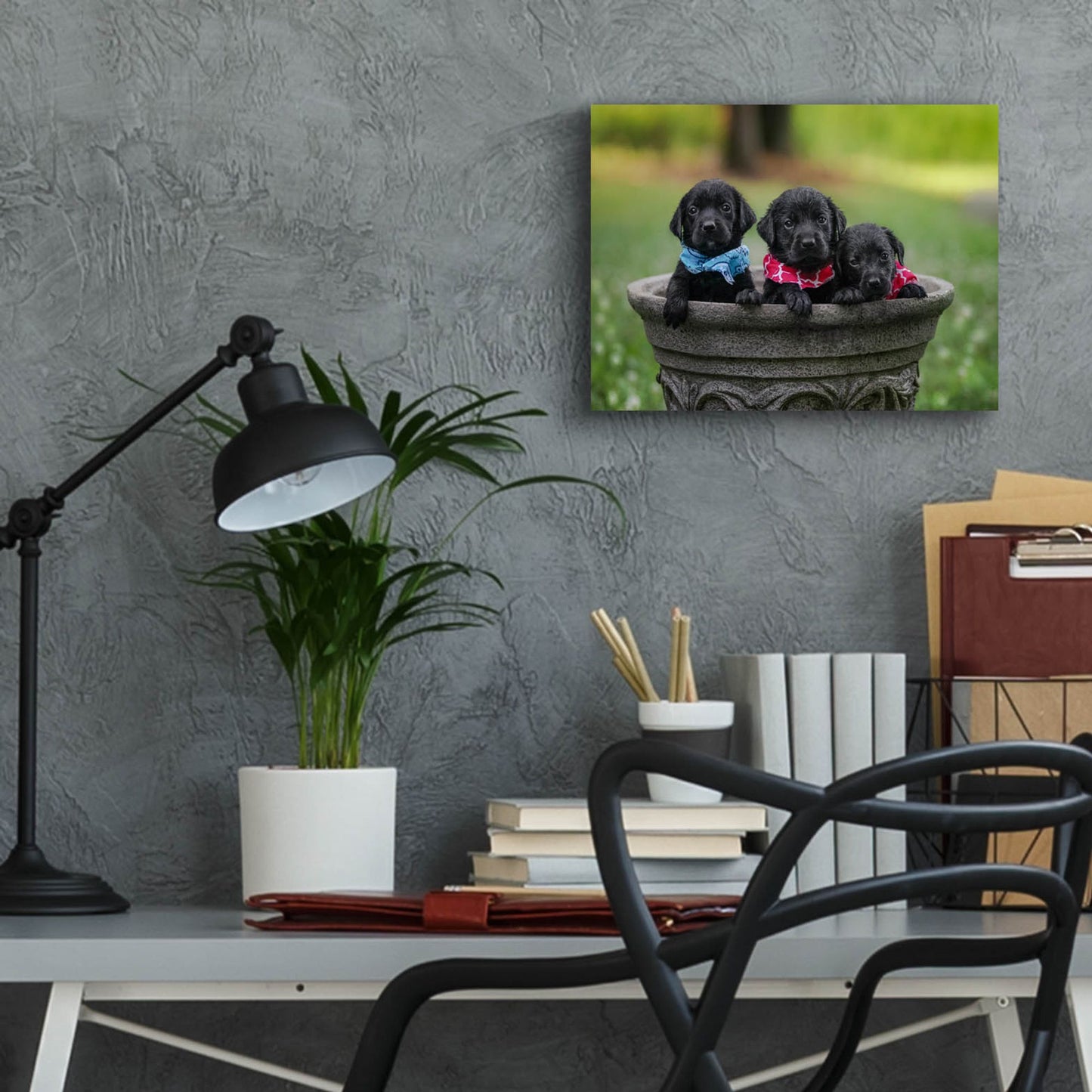 Epic Art 'Black Lab Pups 7' by Jonathan Ross, Acrylic Glass Wall Art,16x12