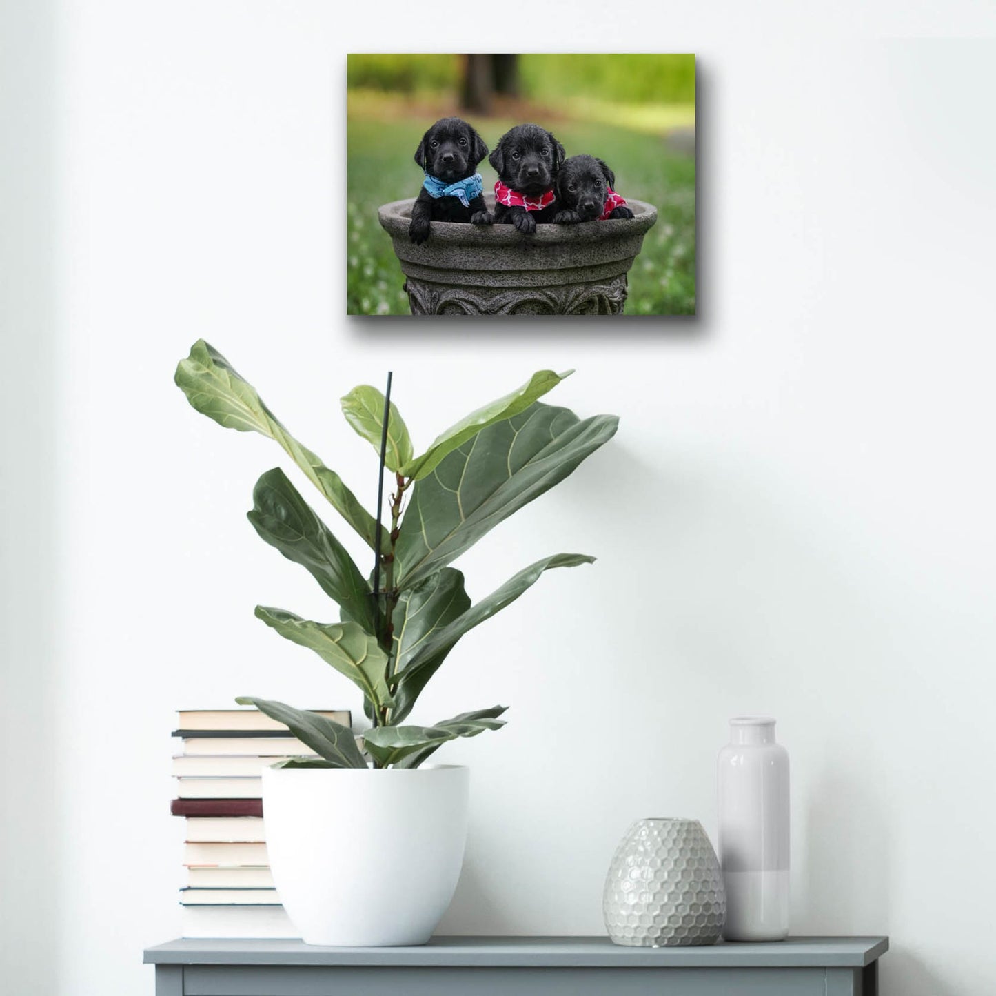 Epic Art 'Black Lab Pups 7' by Jonathan Ross, Acrylic Glass Wall Art,16x12