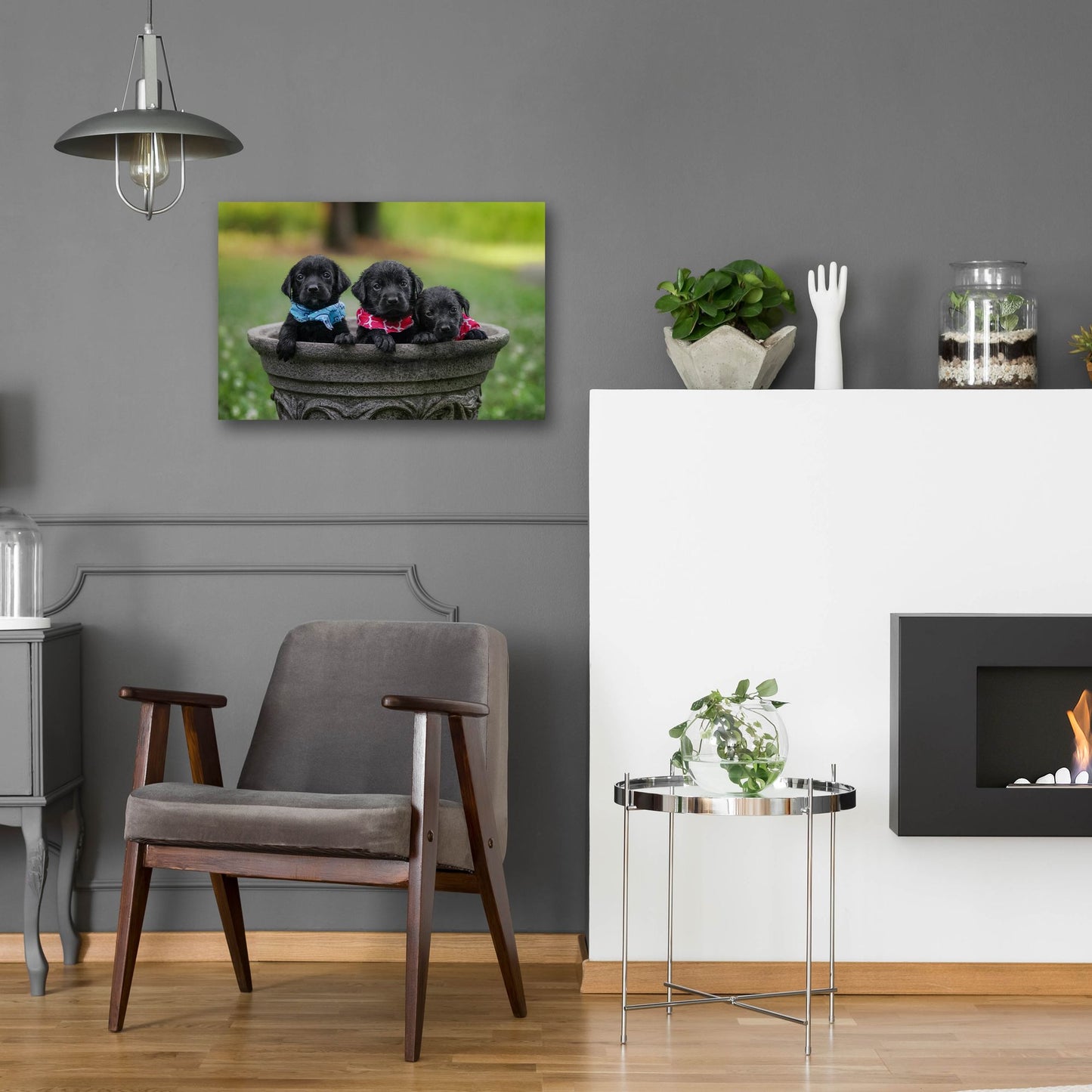 Epic Art 'Black Lab Pups 7' by Jonathan Ross, Acrylic Glass Wall Art,24x16