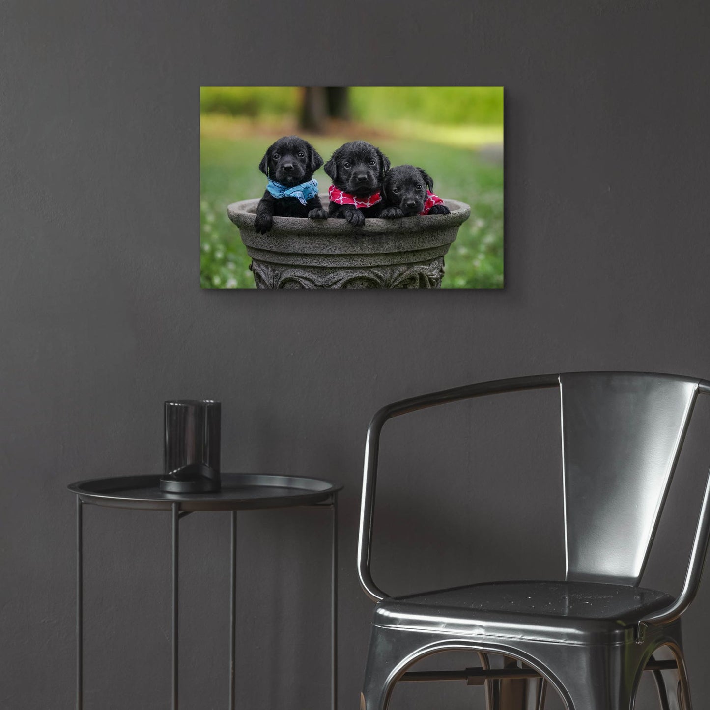 Epic Art 'Black Lab Pups 7' by Jonathan Ross, Acrylic Glass Wall Art,24x16