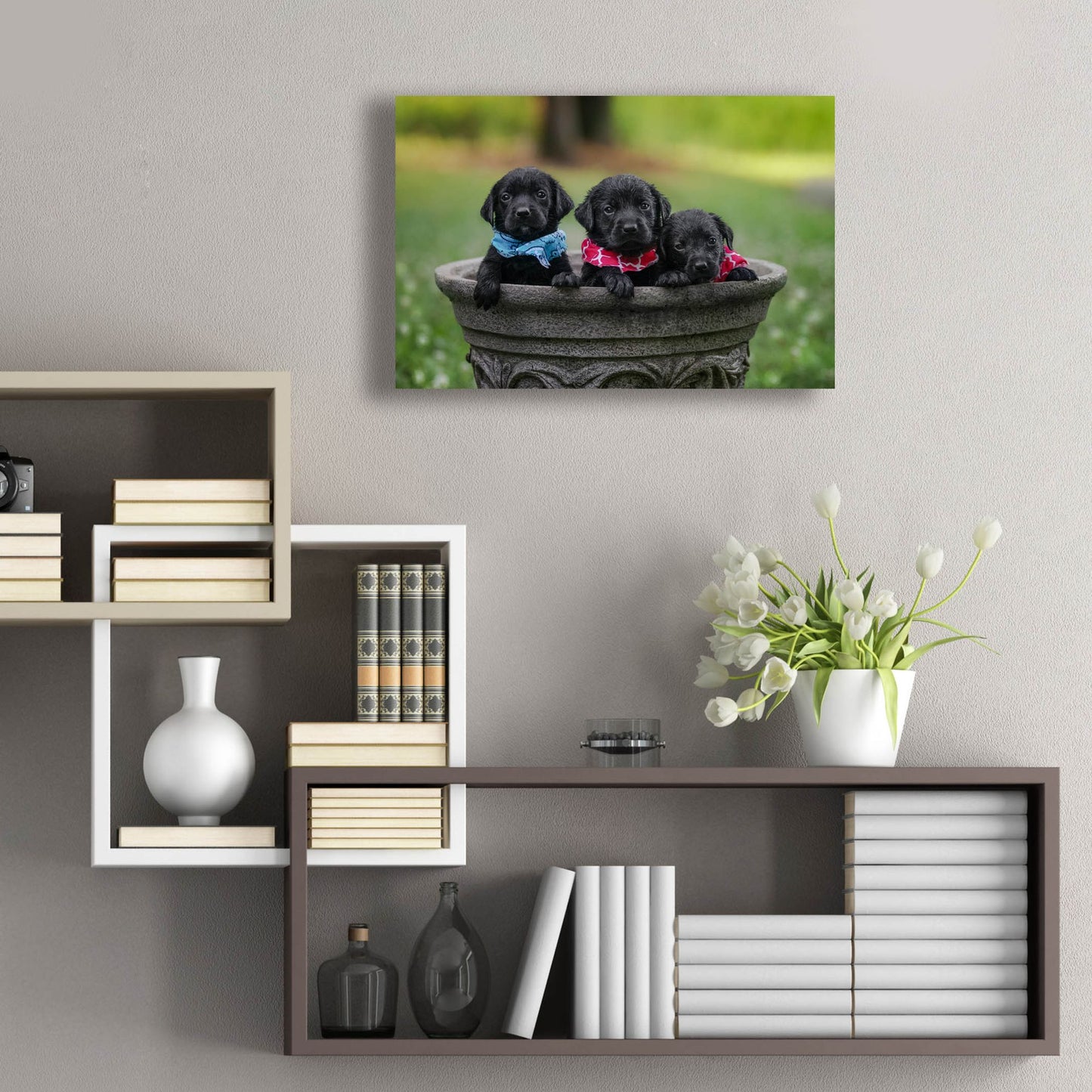 Epic Art 'Black Lab Pups 7' by Jonathan Ross, Acrylic Glass Wall Art,24x16