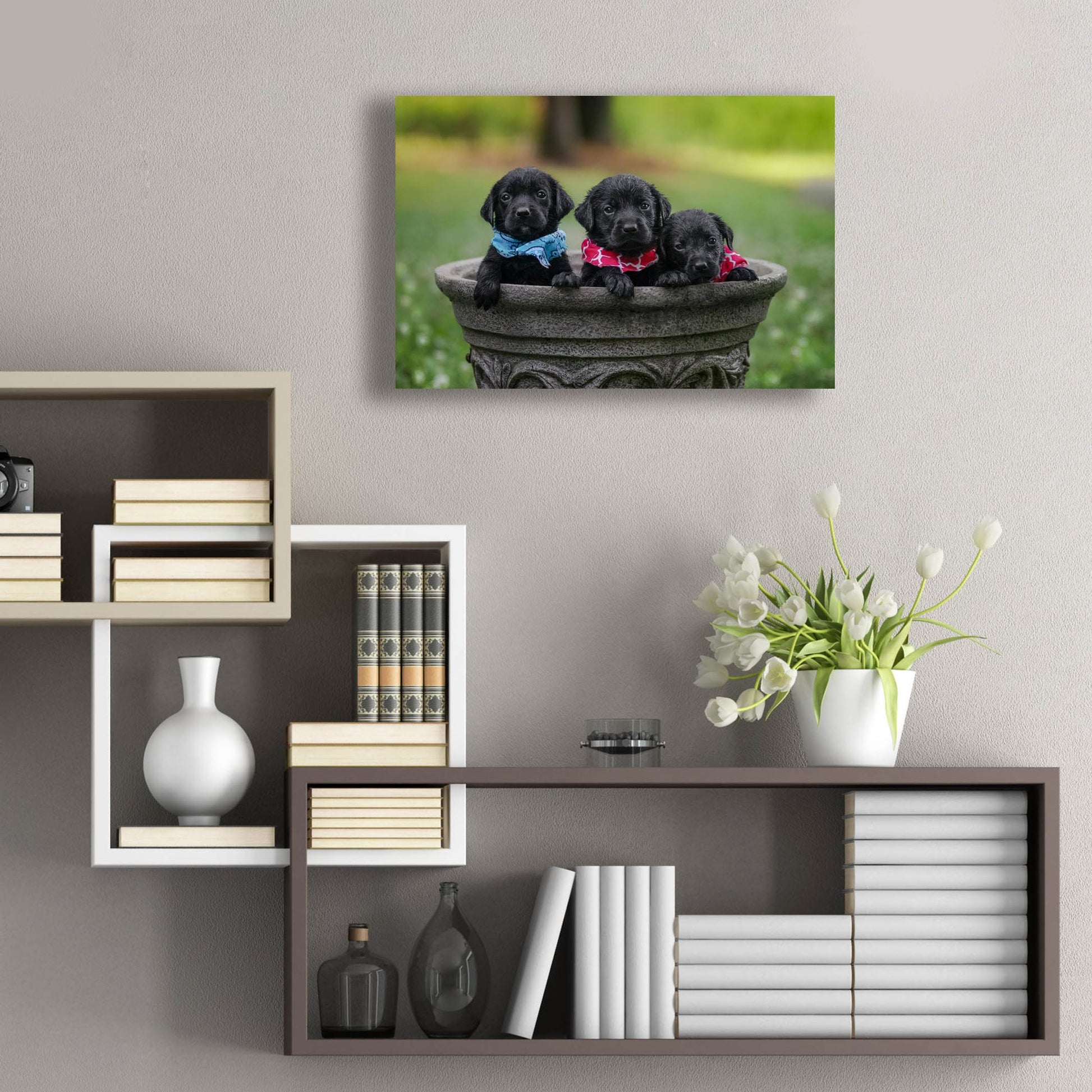 Epic Art 'Black Lab Pups 7' by Jonathan Ross, Acrylic Glass Wall Art,24x16