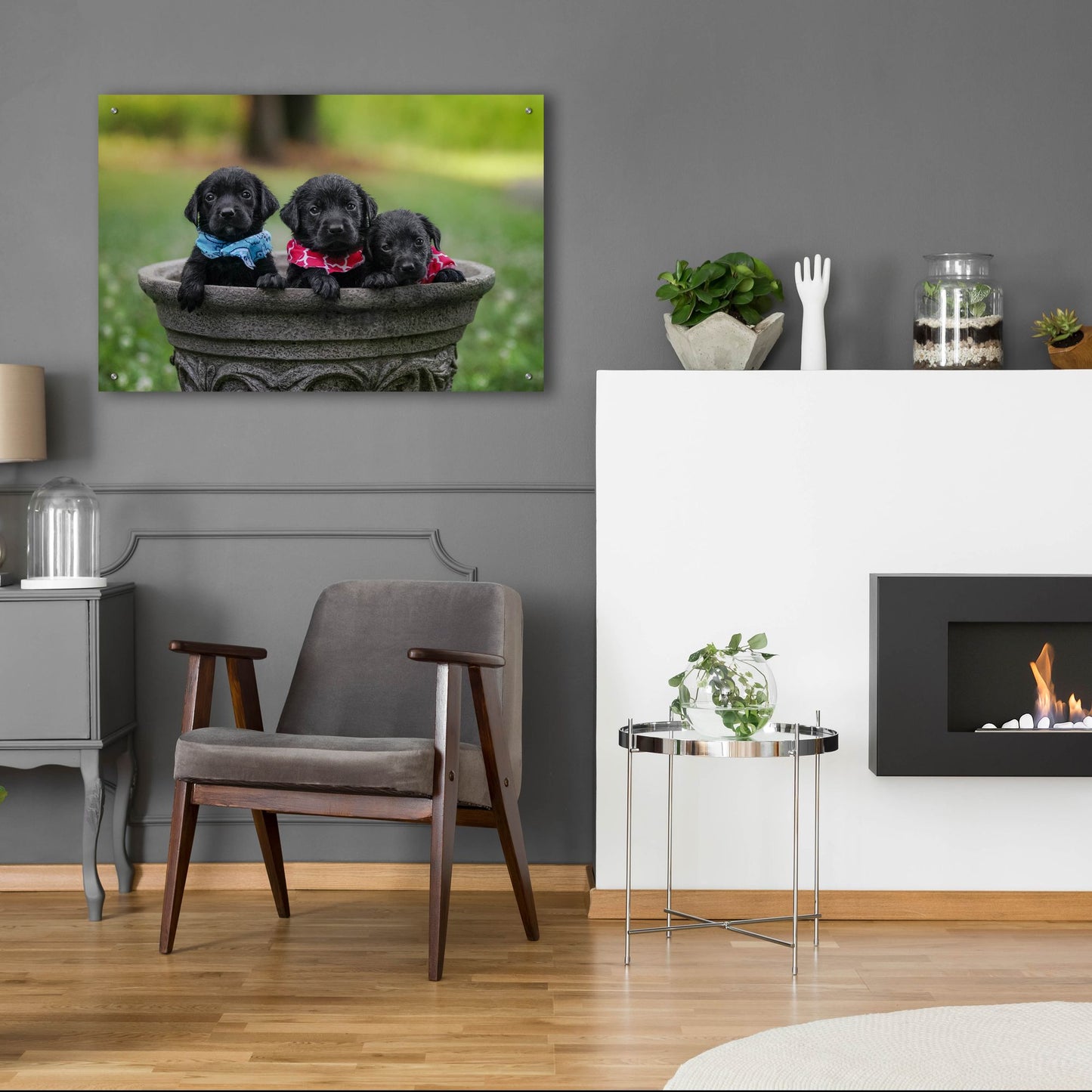 Epic Art 'Black Lab Pups 7' by Jonathan Ross, Acrylic Glass Wall Art,36x24