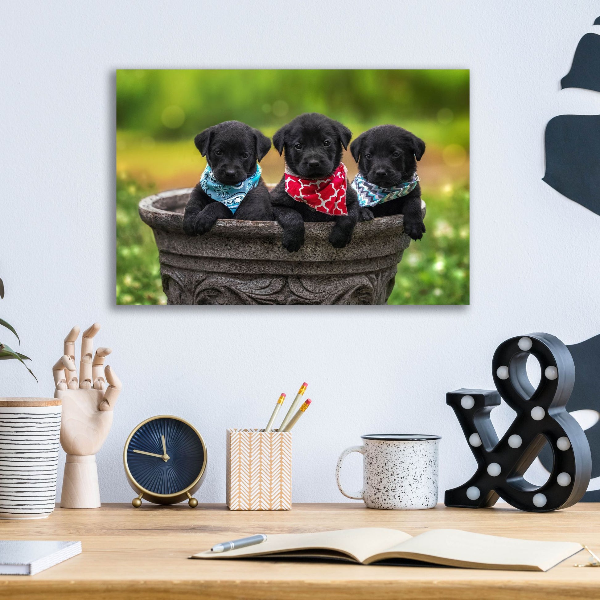 Epic Art 'Black Lab Pups 8' by Jonathan Ross, Acrylic Glass Wall Art,16x12