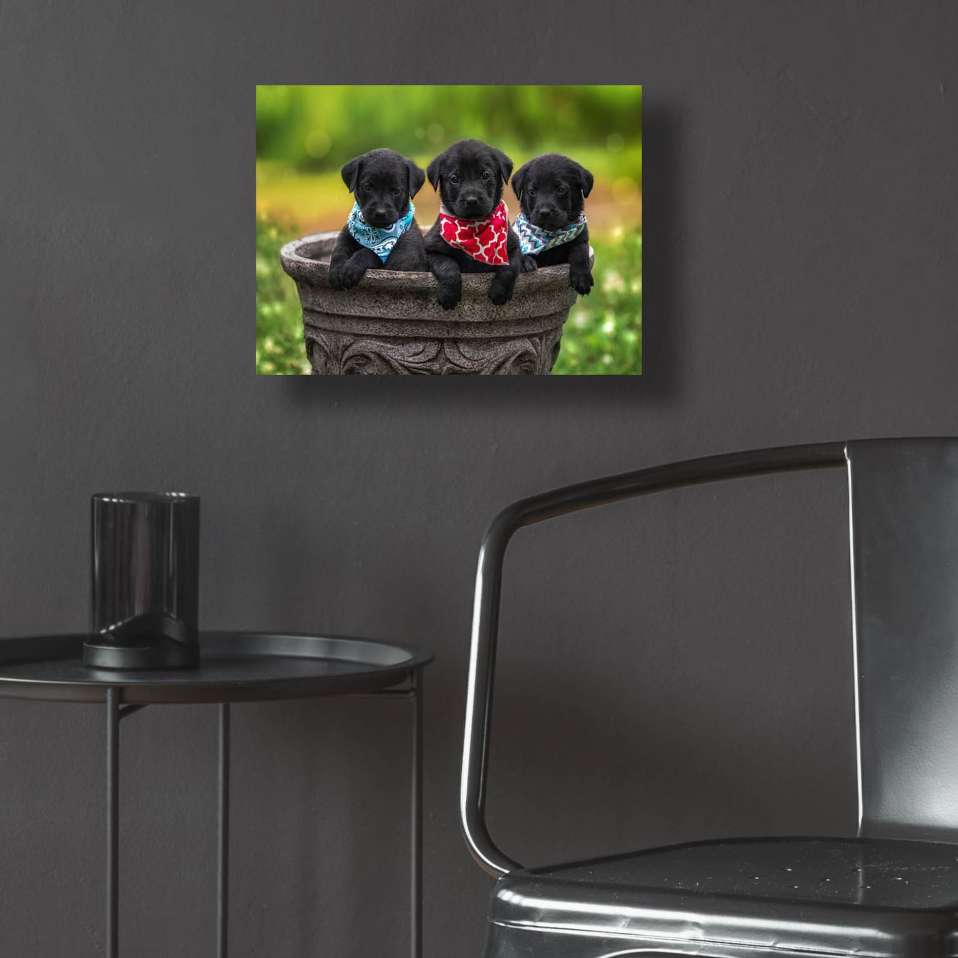Epic Art 'Black Lab Pups 8' by Jonathan Ross, Acrylic Glass Wall Art,16x12