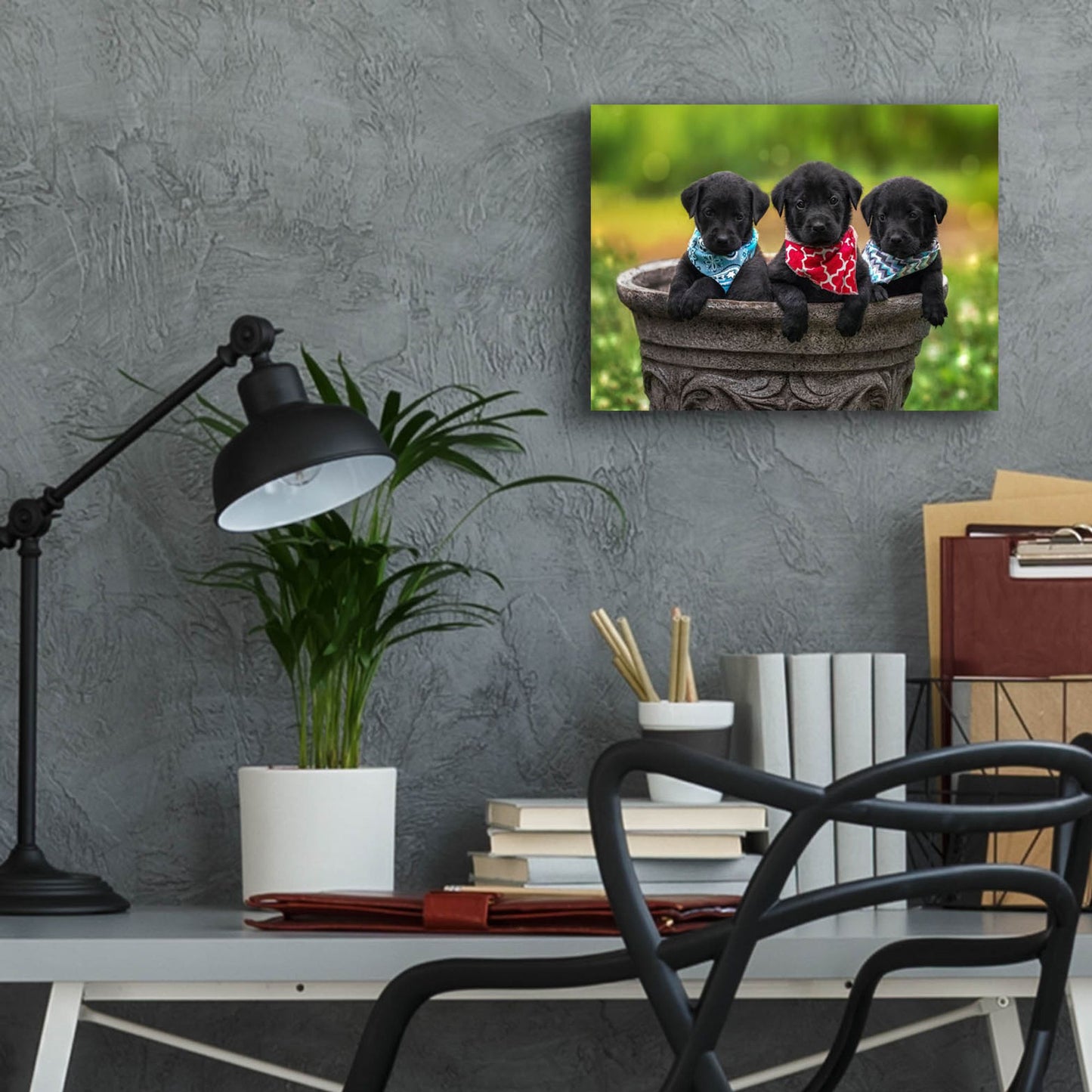 Epic Art 'Black Lab Pups 8' by Jonathan Ross, Acrylic Glass Wall Art,16x12