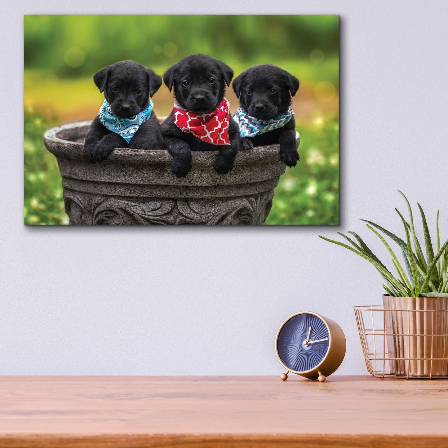 Epic Art 'Black Lab Pups 8' by Jonathan Ross, Acrylic Glass Wall Art,16x12