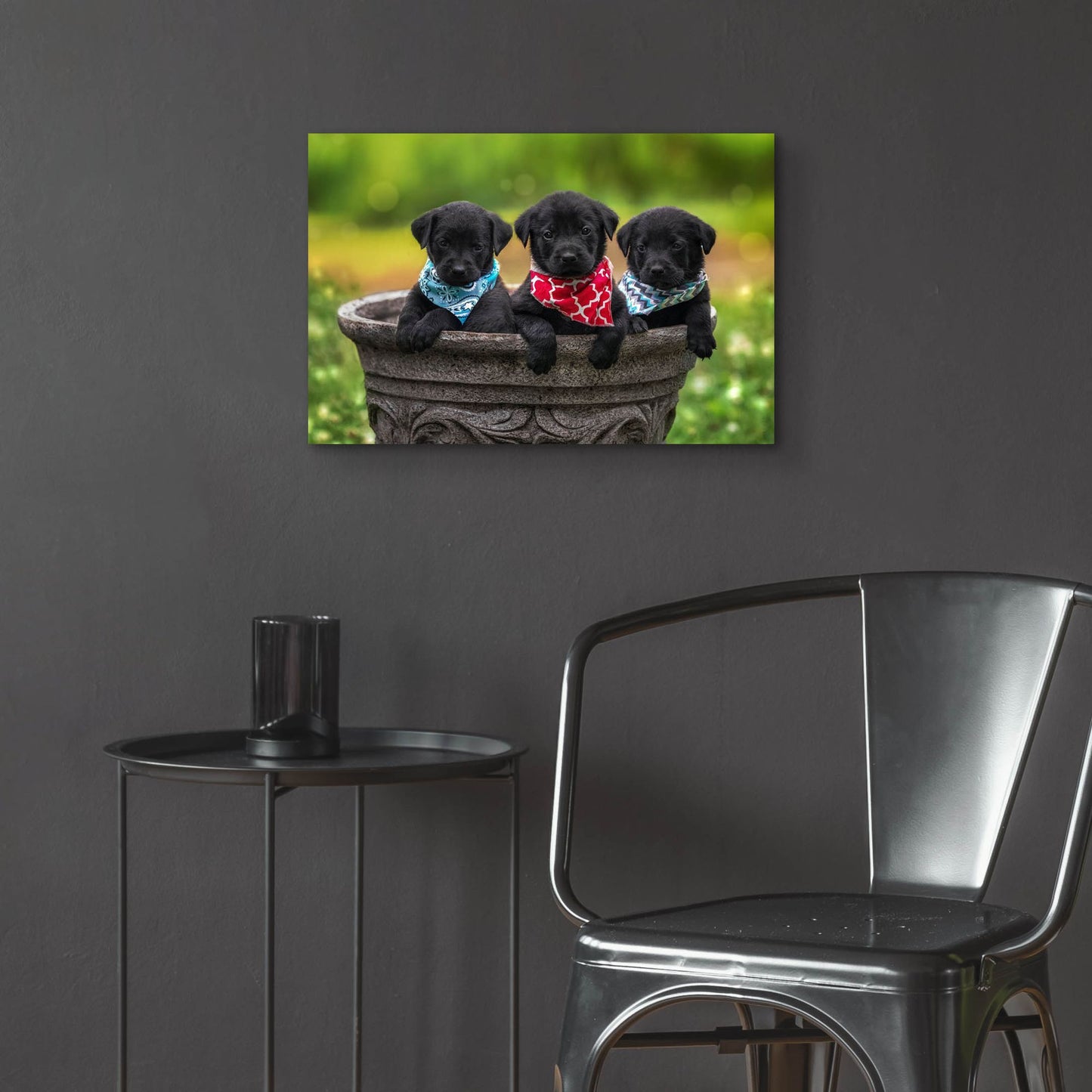 Epic Art 'Black Lab Pups 8' by Jonathan Ross, Acrylic Glass Wall Art,24x16