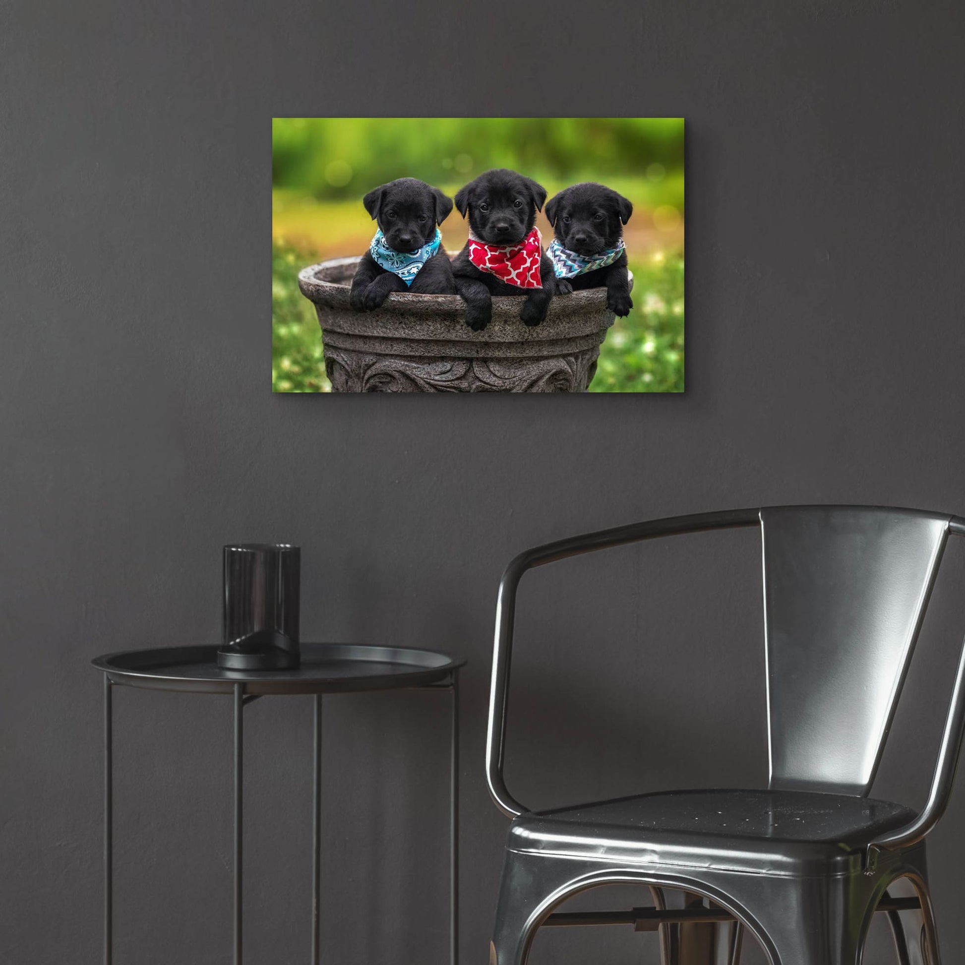Epic Art 'Black Lab Pups 8' by Jonathan Ross, Acrylic Glass Wall Art,24x16