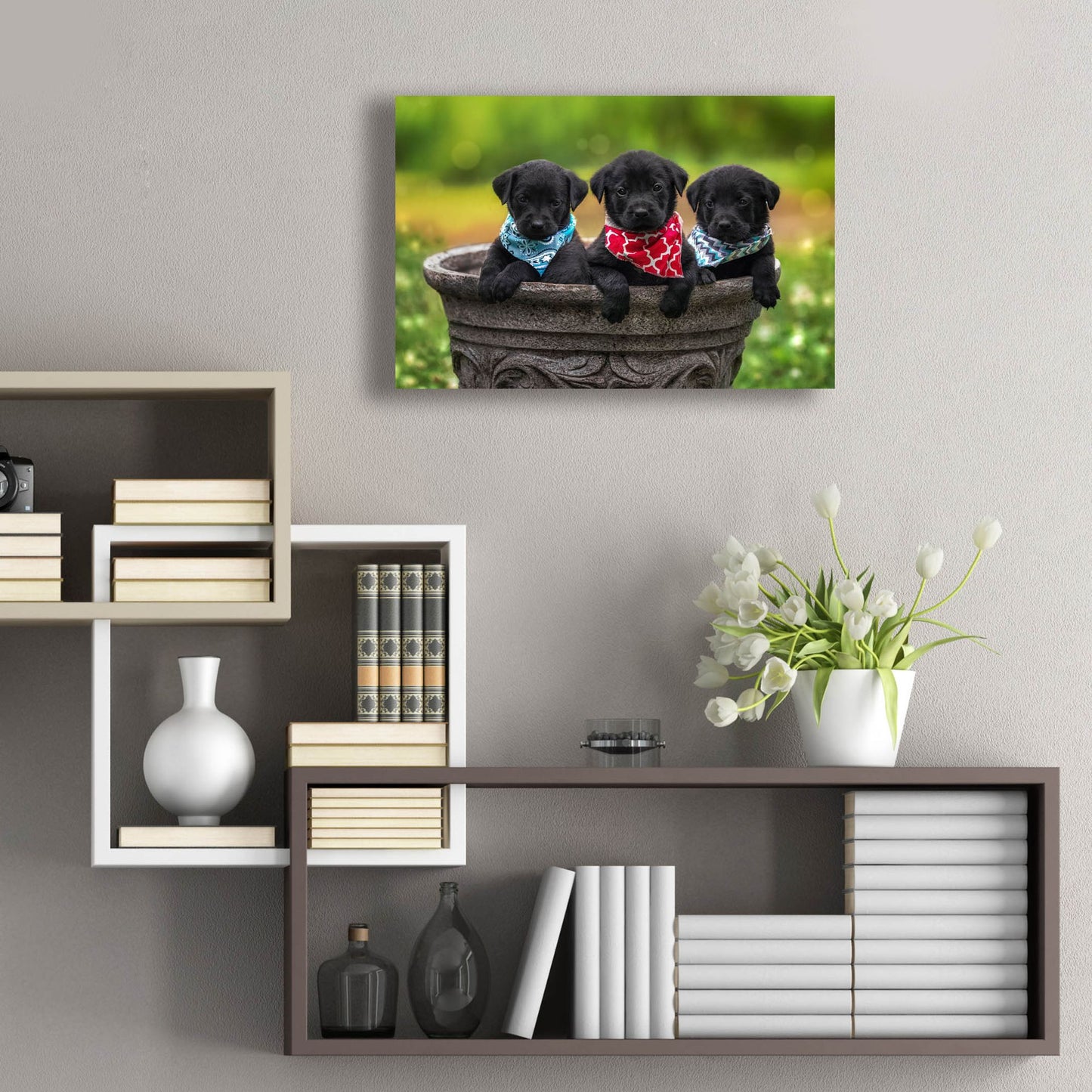 Epic Art 'Black Lab Pups 8' by Jonathan Ross, Acrylic Glass Wall Art,24x16