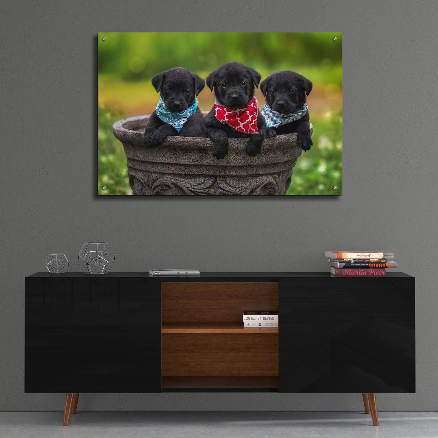 Epic Art 'Black Lab Pups 8' by Jonathan Ross, Acrylic Glass Wall Art,36x24
