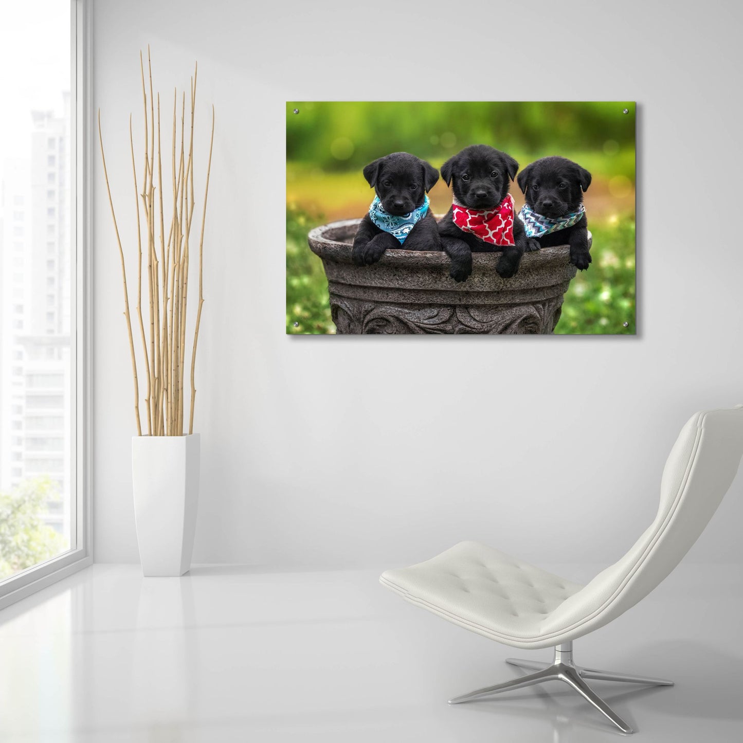 Epic Art 'Black Lab Pups 8' by Jonathan Ross, Acrylic Glass Wall Art,36x24