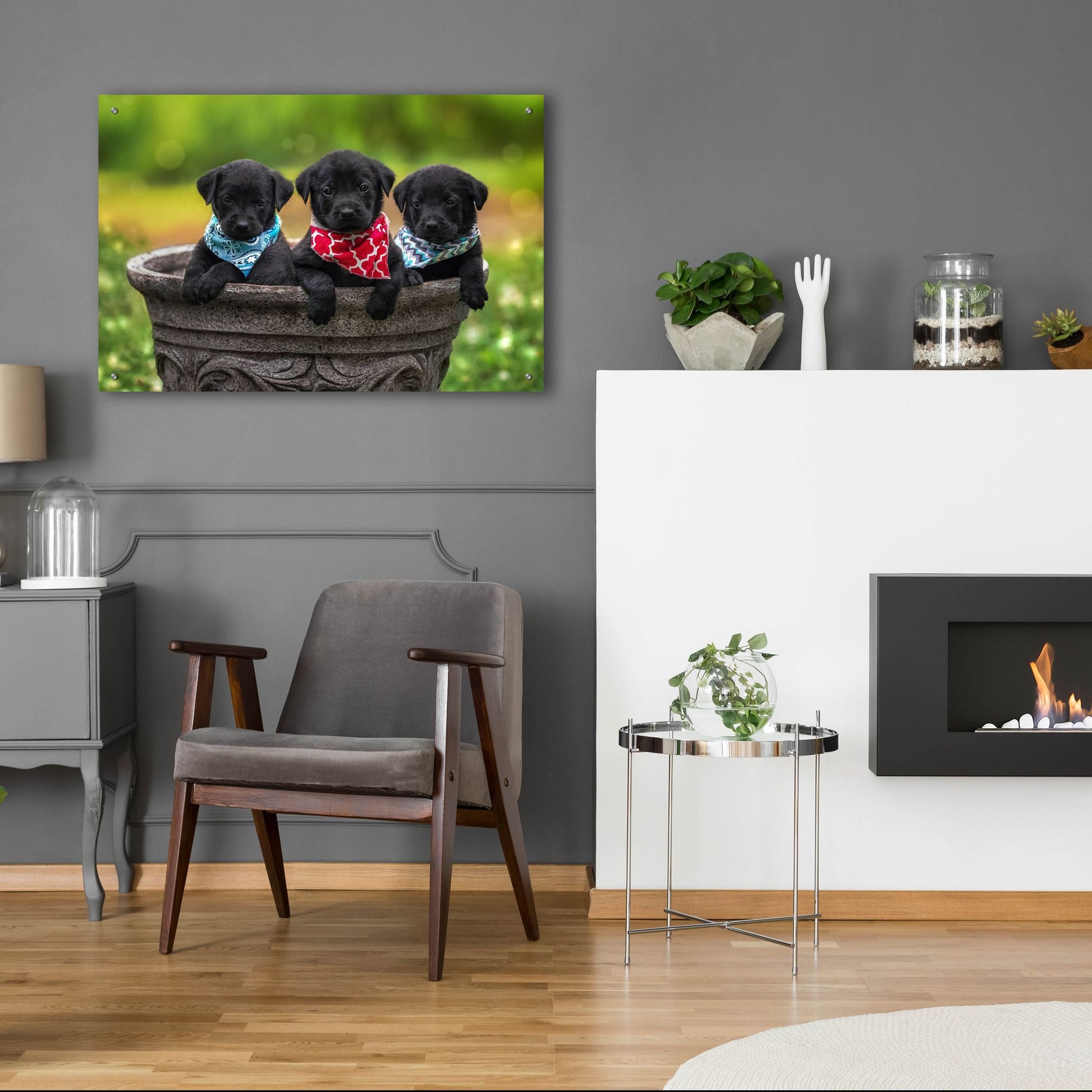 Epic Art 'Black Lab Pups 8' by Jonathan Ross, Acrylic Glass Wall Art,36x24