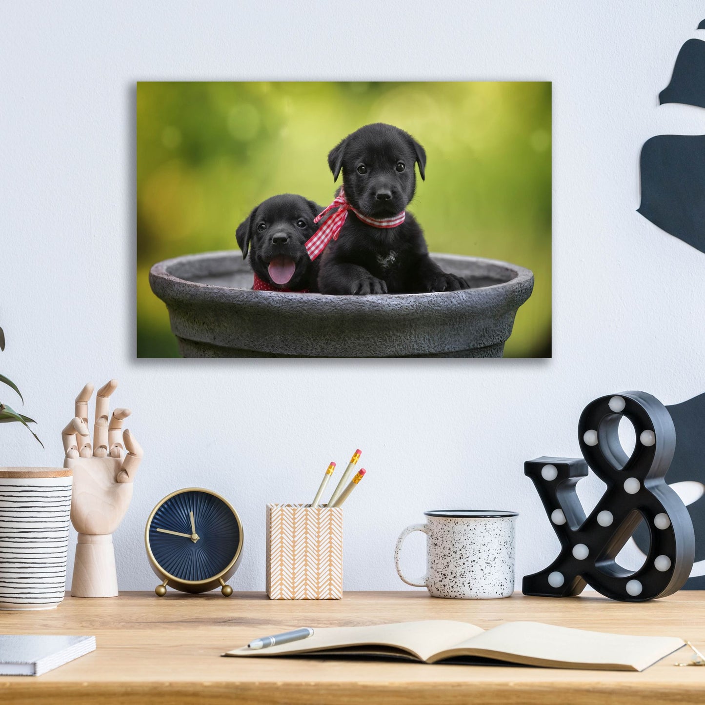 Epic Art 'Black Lab Pups 9' by Jonathan Ross, Acrylic Glass Wall Art,16x12