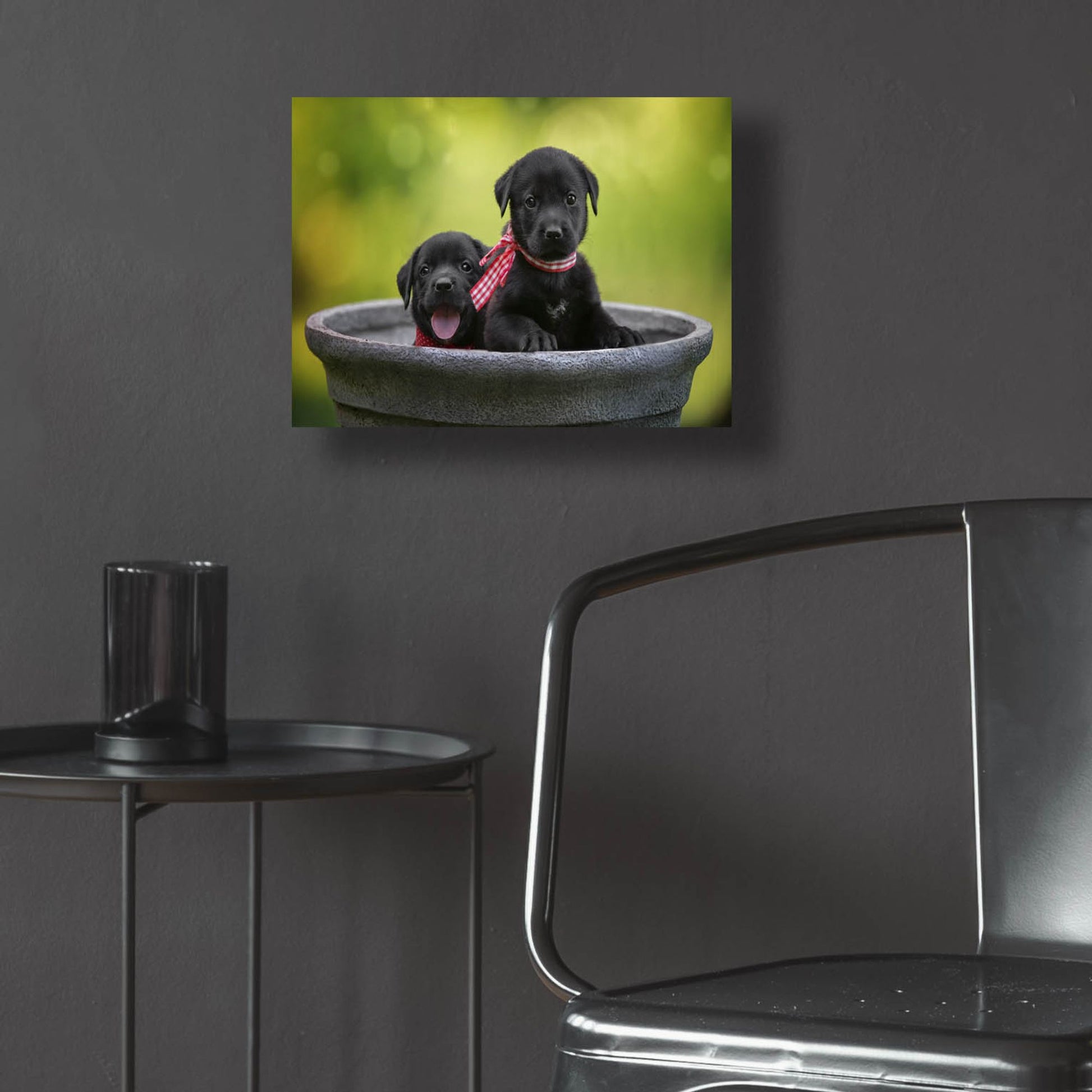 Epic Art 'Black Lab Pups 9' by Jonathan Ross, Acrylic Glass Wall Art,16x12