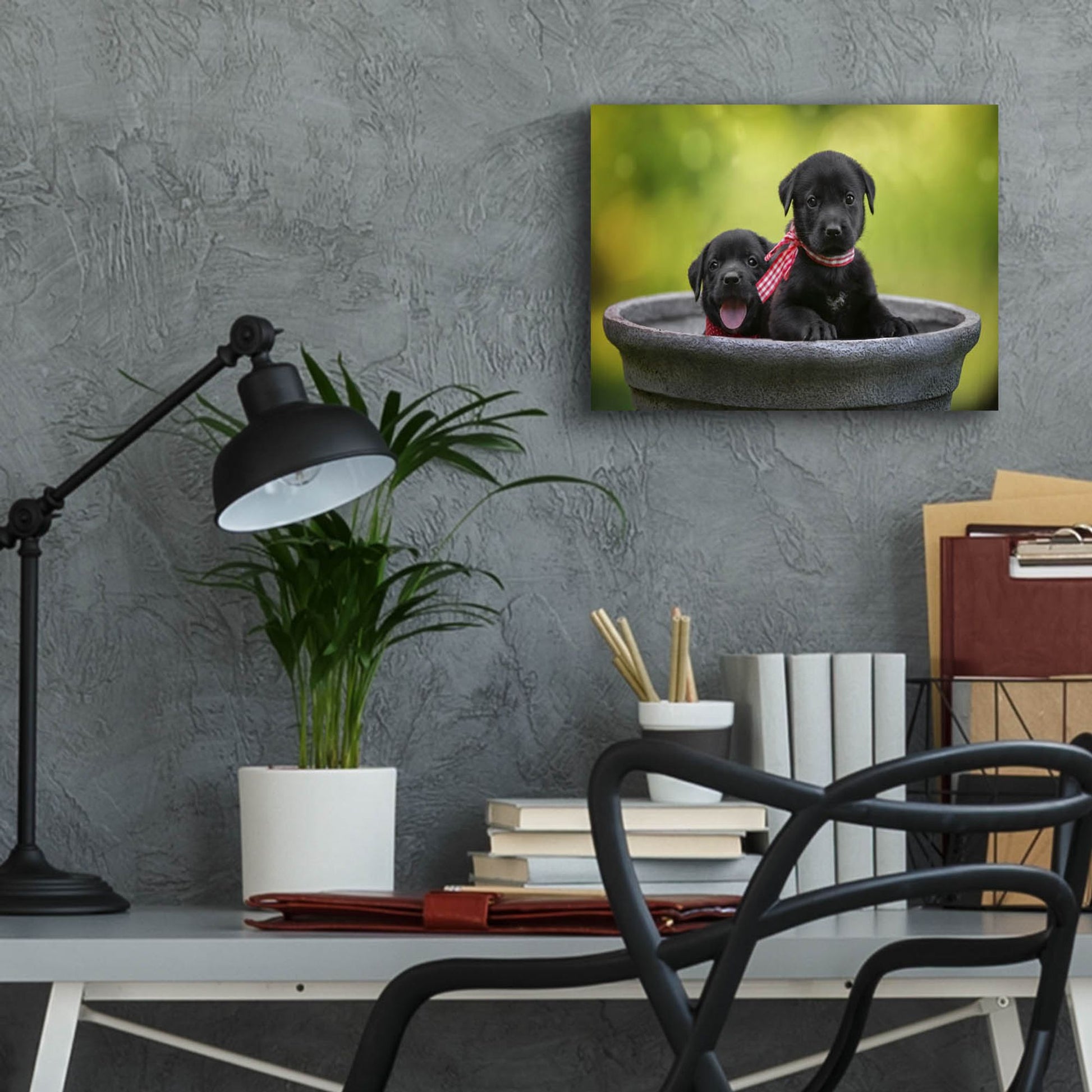 Epic Art 'Black Lab Pups 9' by Jonathan Ross, Acrylic Glass Wall Art,16x12