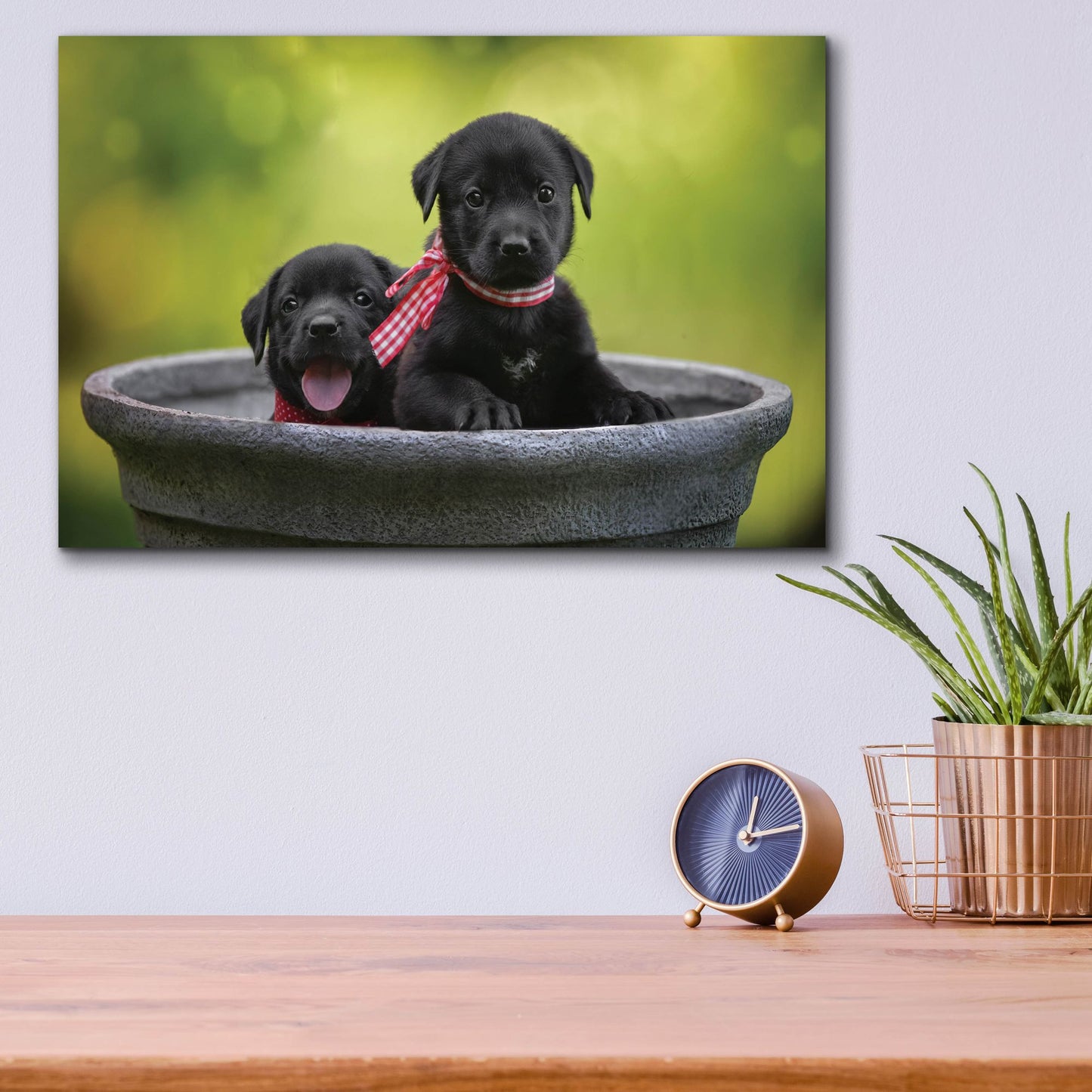 Epic Art 'Black Lab Pups 9' by Jonathan Ross, Acrylic Glass Wall Art,16x12