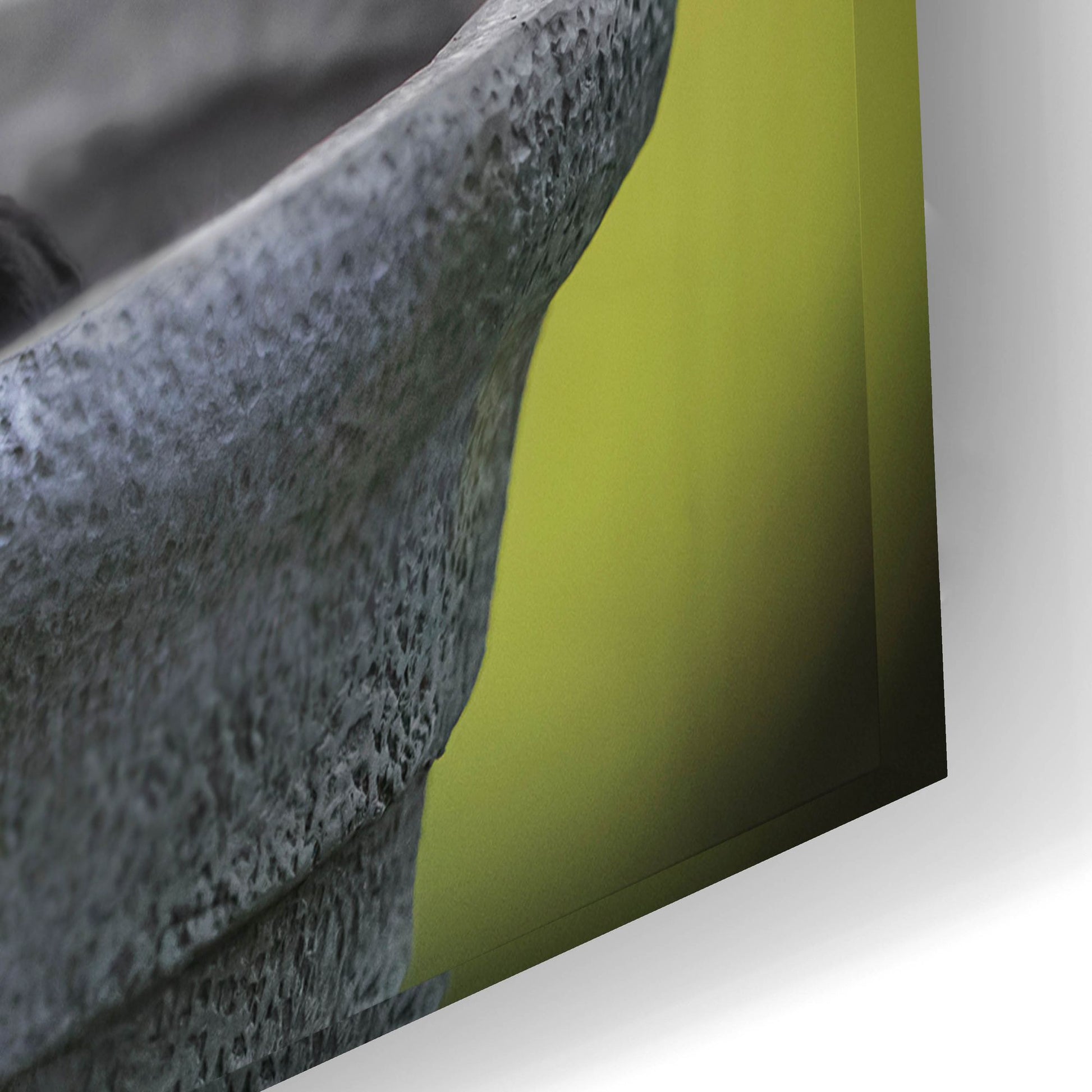 Epic Art 'Black Lab Pups 9' by Jonathan Ross, Acrylic Glass Wall Art,24x16