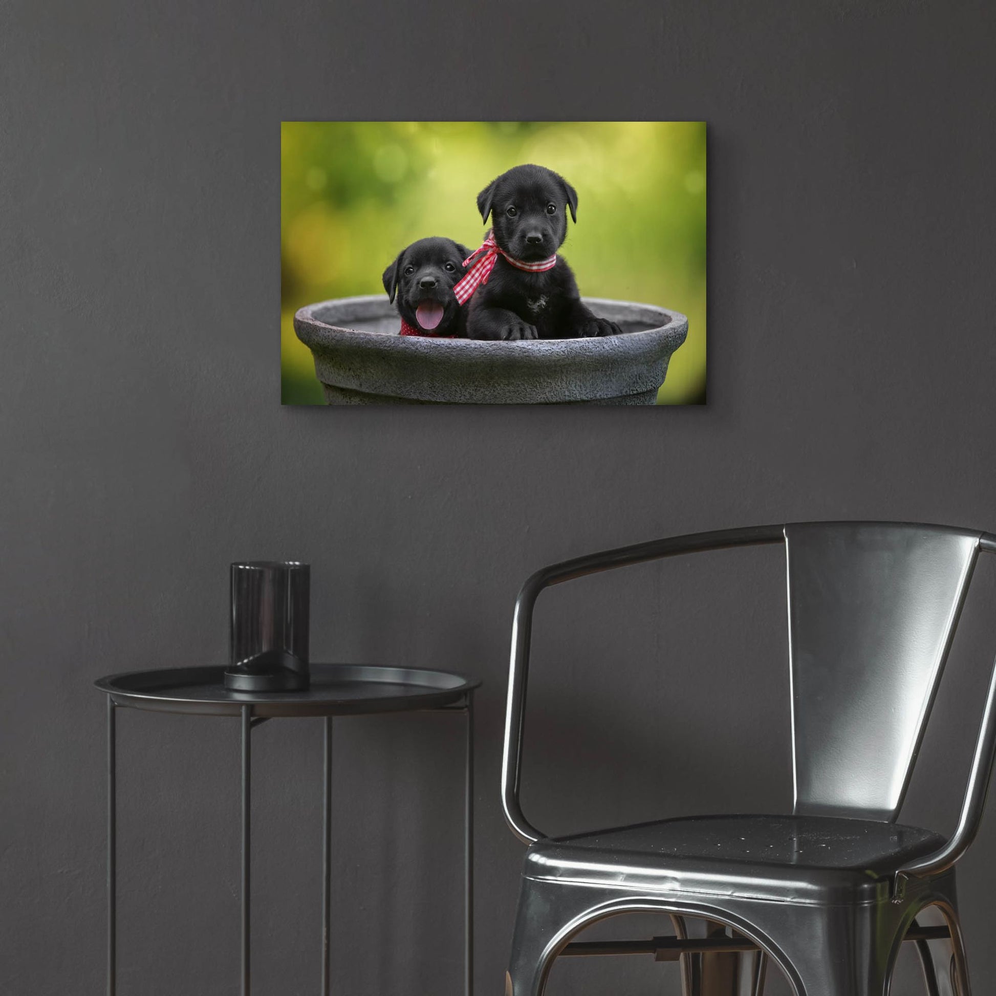 Epic Art 'Black Lab Pups 9' by Jonathan Ross, Acrylic Glass Wall Art,24x16