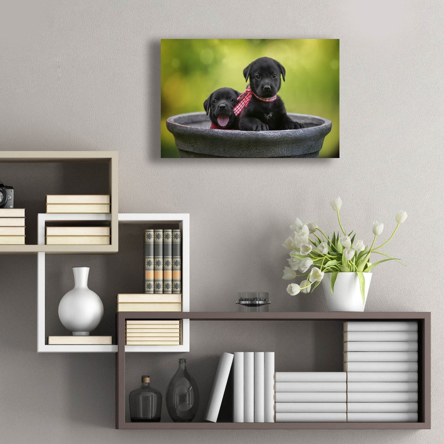 Epic Art 'Black Lab Pups 9' by Jonathan Ross, Acrylic Glass Wall Art,24x16