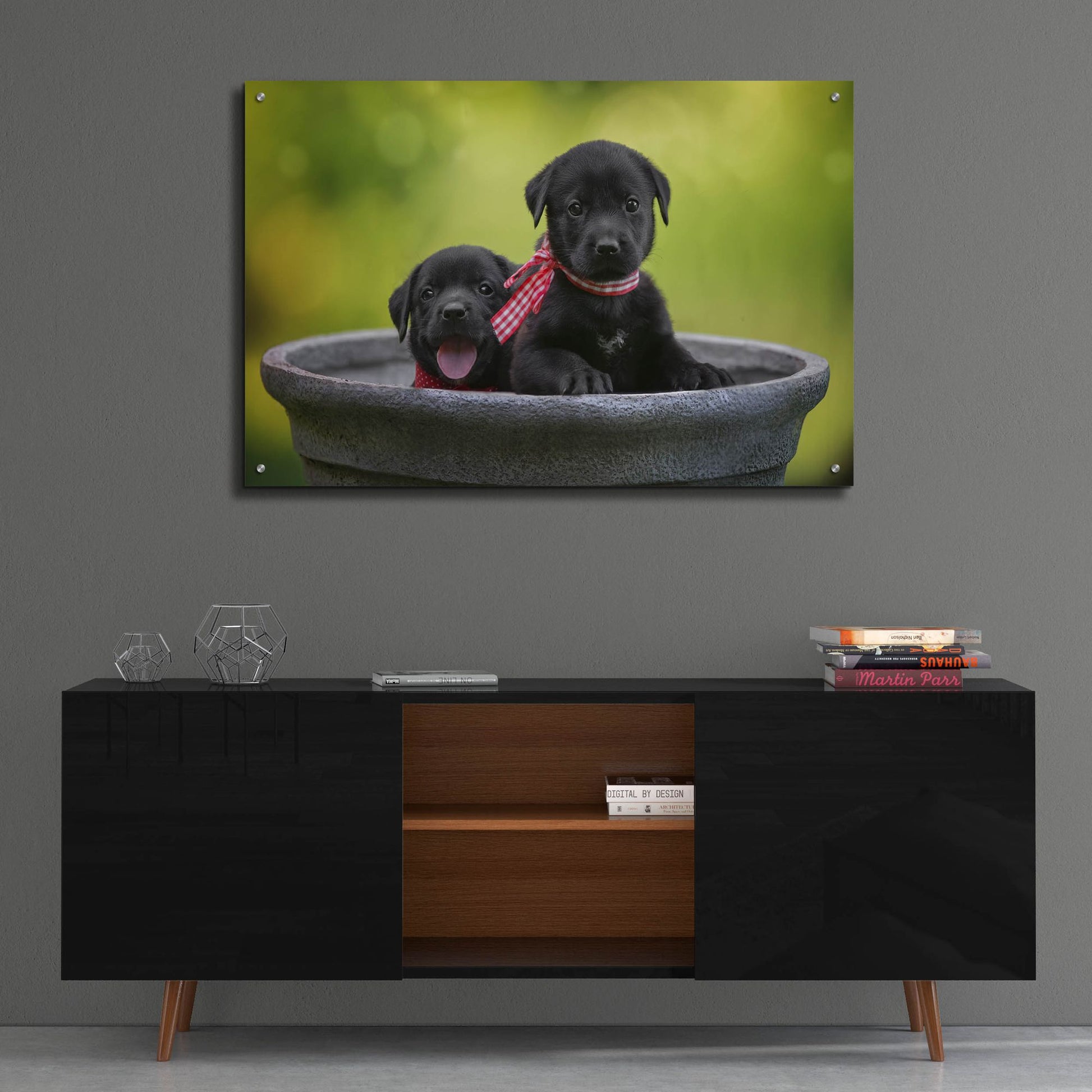 Epic Art 'Black Lab Pups 9' by Jonathan Ross, Acrylic Glass Wall Art,36x24