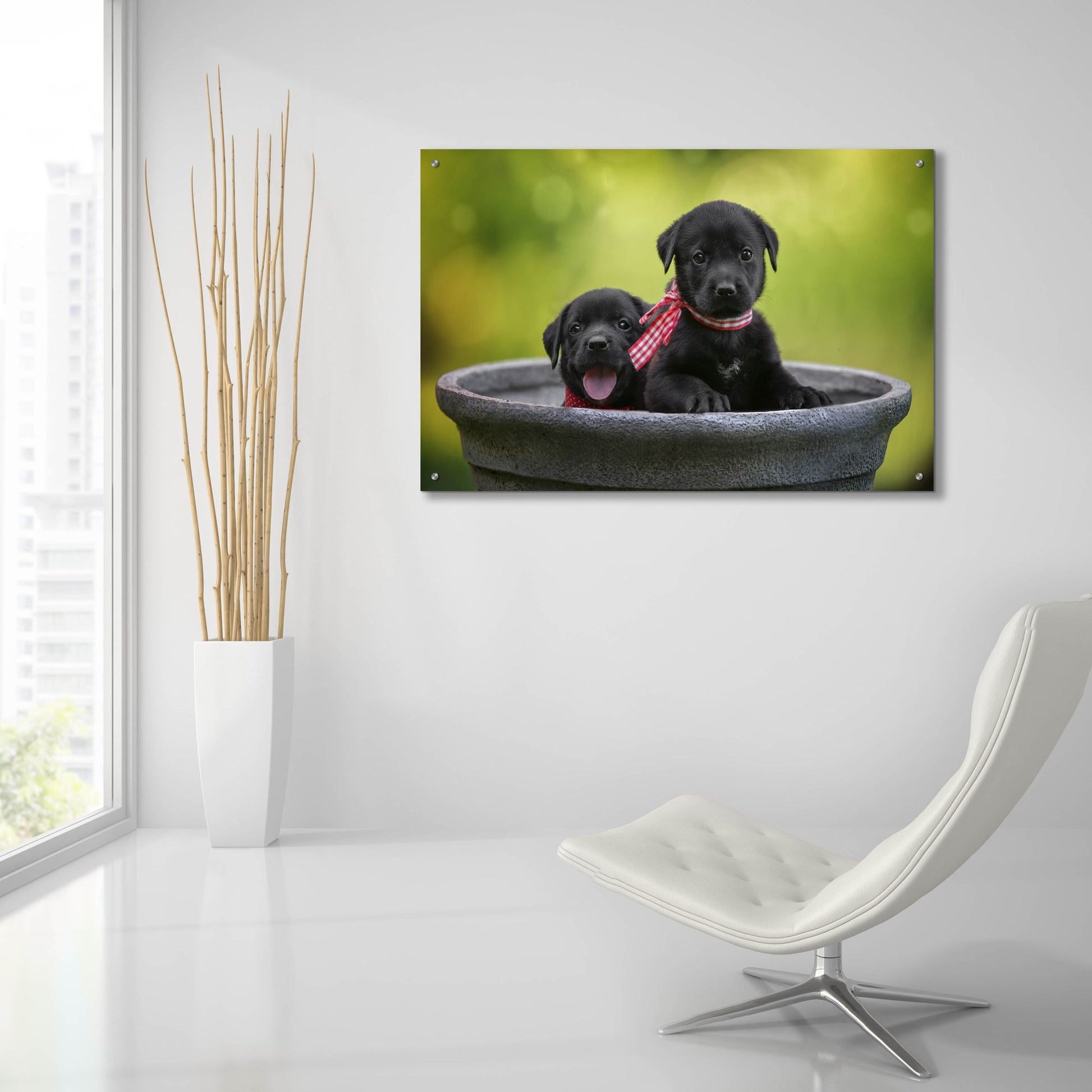Epic Art 'Black Lab Pups 9' by Jonathan Ross, Acrylic Glass Wall Art,36x24