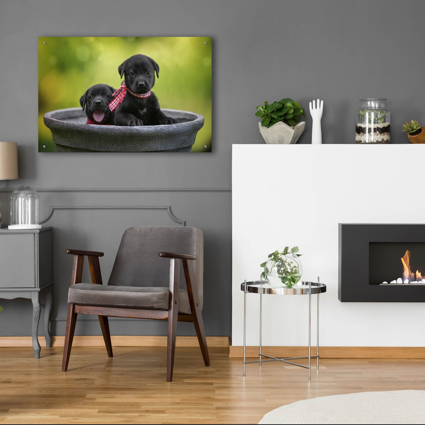 Epic Art 'Black Lab Pups 9' by Jonathan Ross, Acrylic Glass Wall Art,36x24