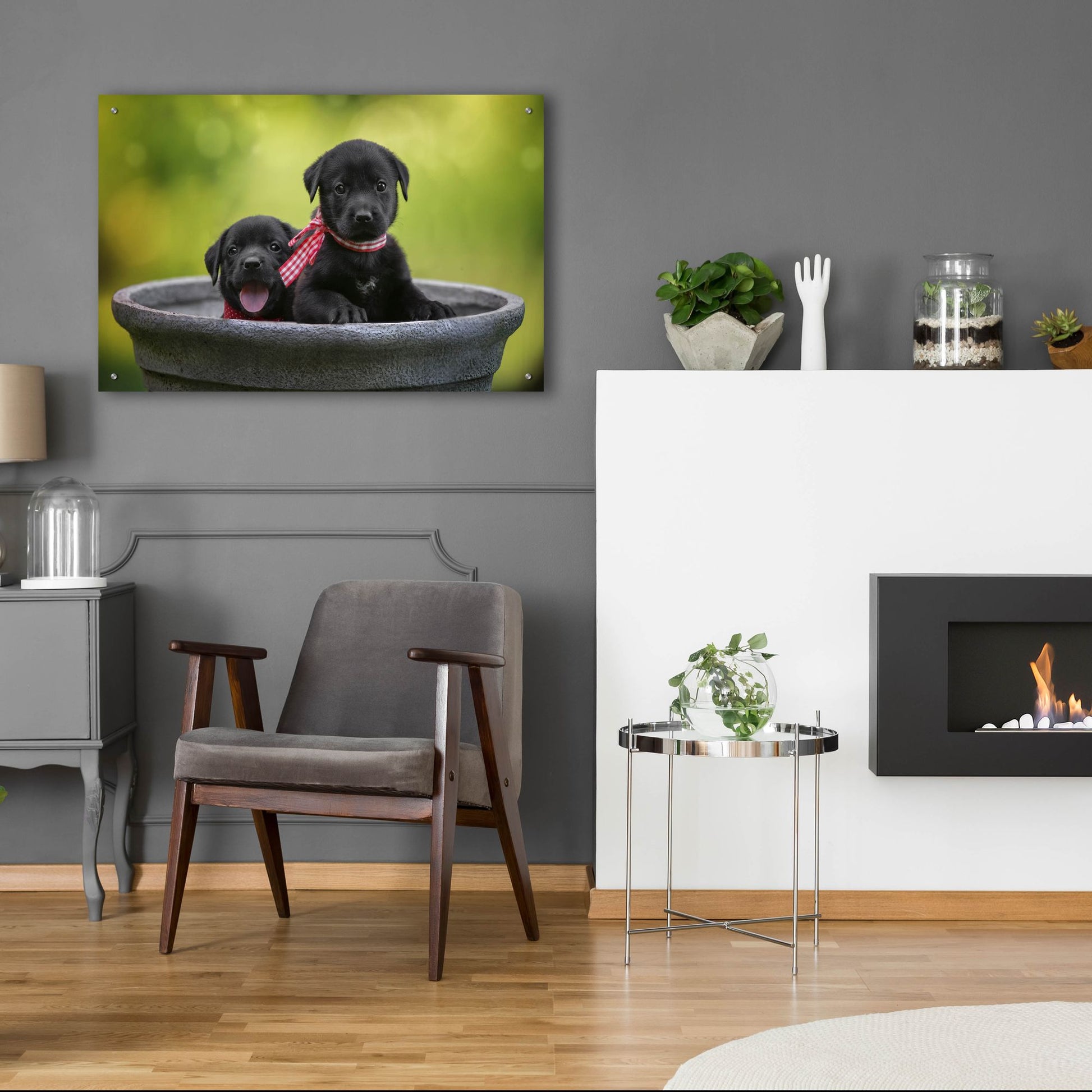 Epic Art 'Black Lab Pups 9' by Jonathan Ross, Acrylic Glass Wall Art,36x24