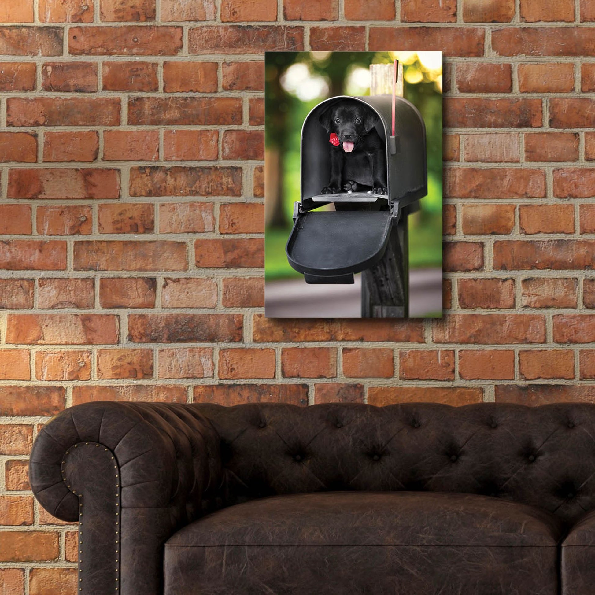 Epic Art 'Black Lab Special Delivery' by Jonathan Ross, Acrylic Glass Wall Art,16x24